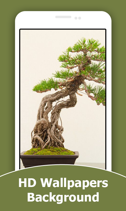 s shaped bonsai tree Artificial S-Shaped Bonsai Tree 200cm  Rukkies Decor