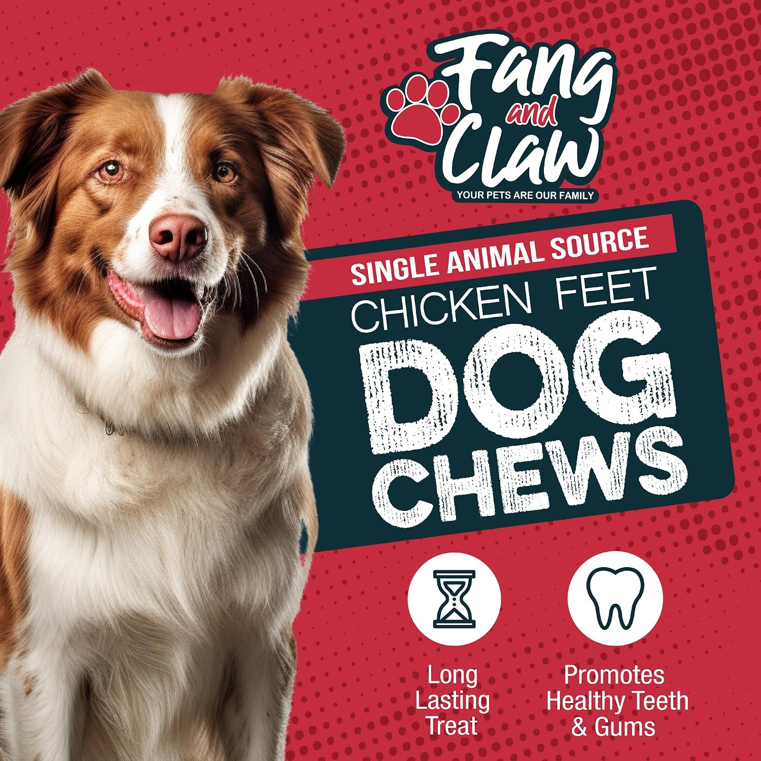 Natural Chicken Feet for Dogs, Treats – 75 Count Pack – Single Ingredient, All‑Natural, Air‑Dried Chicken Feet Chews, High Protein, Low Calorie, Digestible, Hip & Joint Support