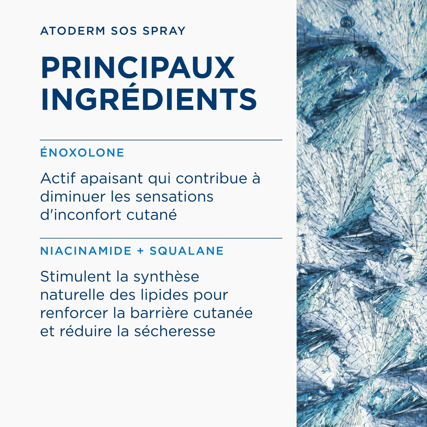 BIODERMA Atoderm SOS spray - Anti-démangeaisons et apaisement immédiat - Peaux sensibles irritées sèches à très sèches - Prescrit par des dermatologues - Pour toute la famille - Aérosol 200 ml