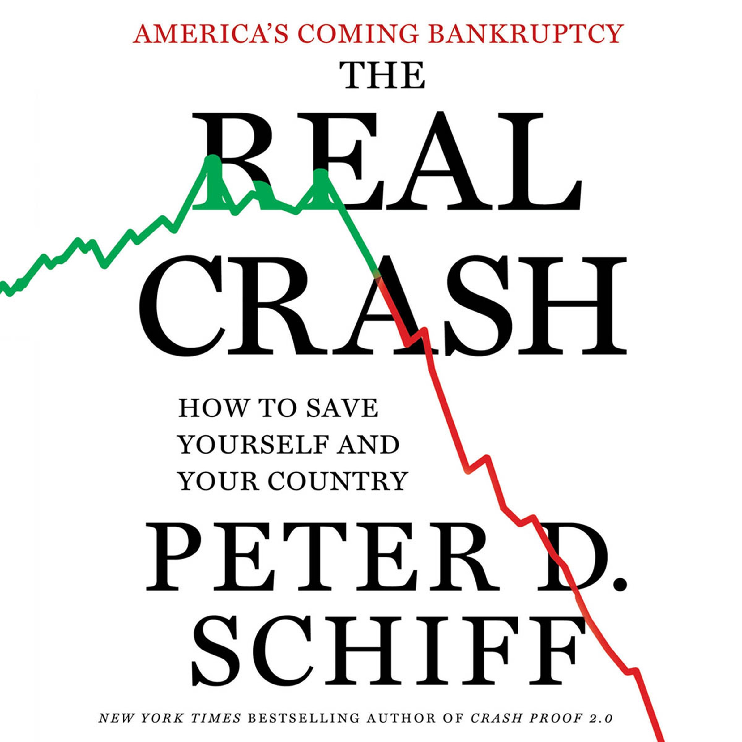 The Real Crash: America's Coming Bankruptcy - How to Save Yourself and Your Country