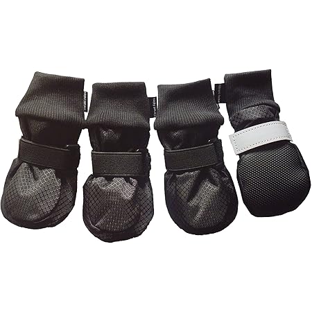 vibrant fellow dog boots