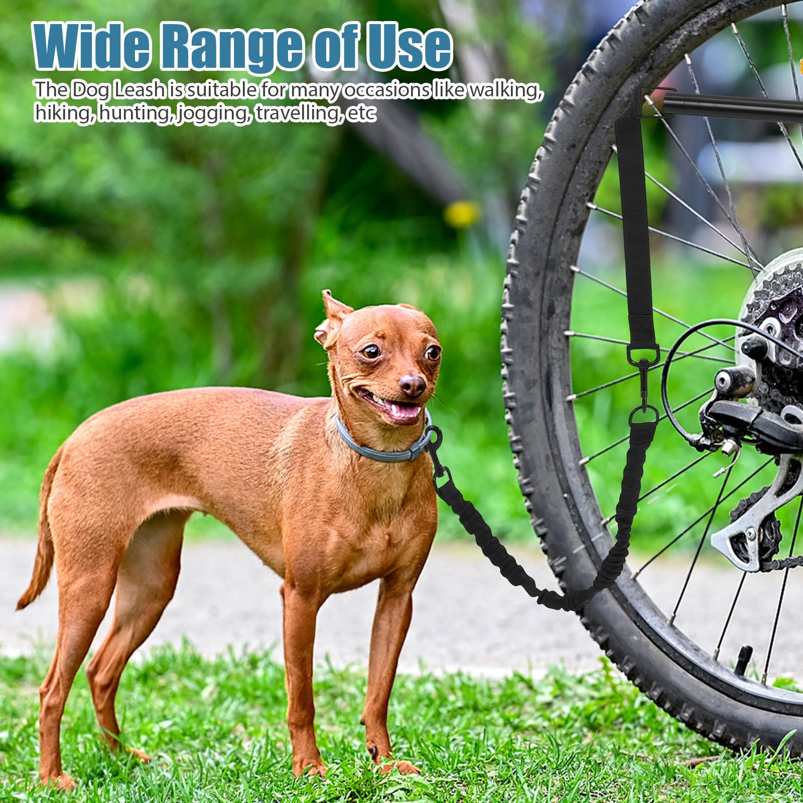 Alasum Correa para Bicicleta para Perros Pequeños y Medianos Cuerda Resistente de Nylon Retráctil para Pasear y Transportar Mascotas al Aire Libre Accesorios para Perros de Exterior