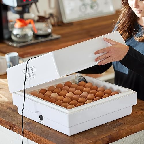 Miniatura 5 de Farm Innovators - Incubadora digital con aire circulado con girador automático de huevos, versión mejorada - Mejora 1