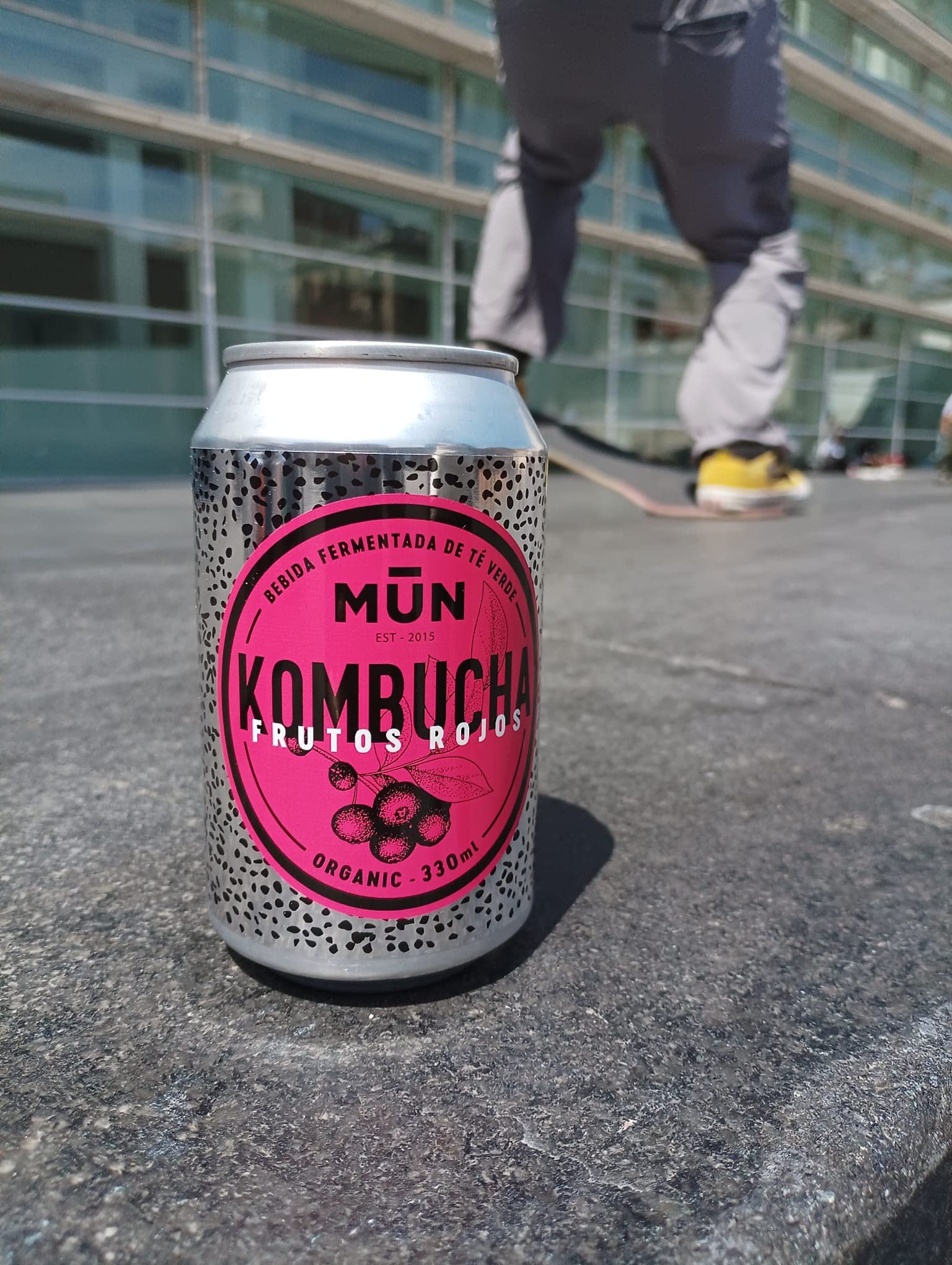 Mūn Ferments Té Kombucha Pack 12x330ml - Bebida Ecológica Con Probióticos - Té Kombucha Jengibre Y Limón-Sin Azúcar Y Baja En Calorías-Latas Libres De BPA-Infusión Fermentada Artesanal-Libre De Gluten