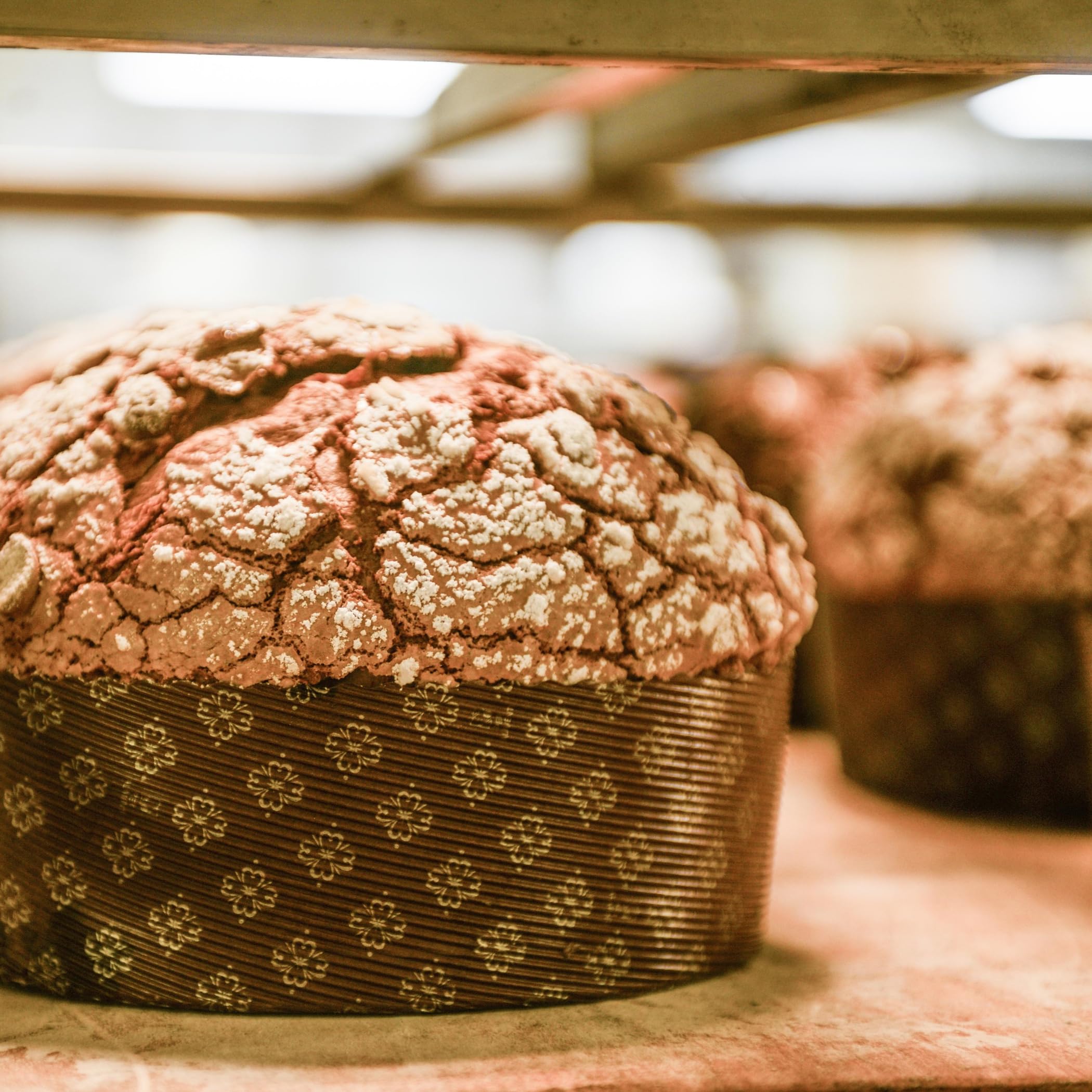 10 Pack Premium Low Panettone Molds 500g - Professional Panettone Cups Pure Cellulose Paper Microwave, Designed For Panettone, Heat Resistant 220°C