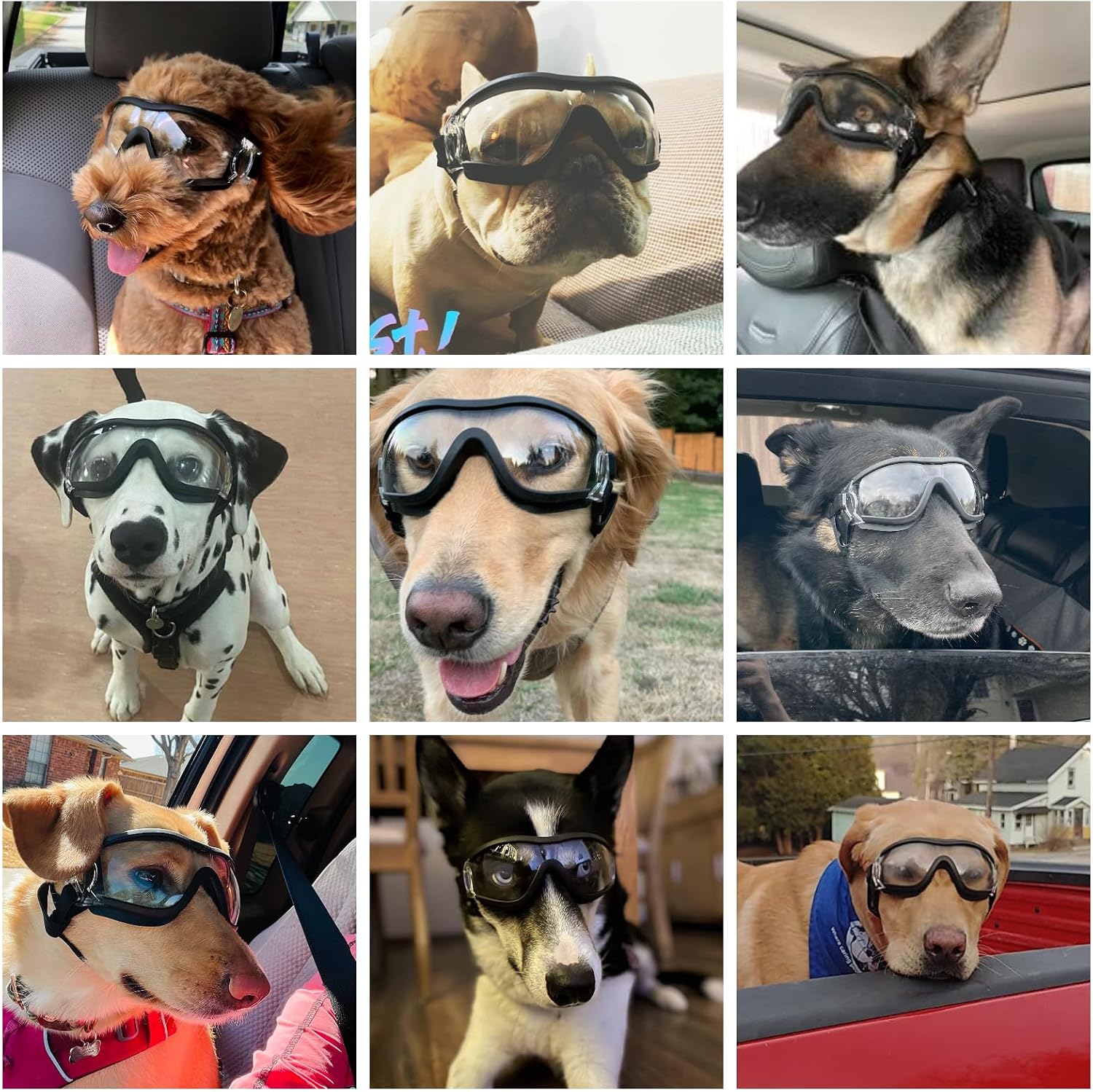 Dog Goggles and Pet Helmet Set, Large Dog Sunglasses Anti-UV Windproof, Safety Motorcycle Helmet with Ear Holes for Medium to Large Breeds, Head& Eyes Protection, Clear L