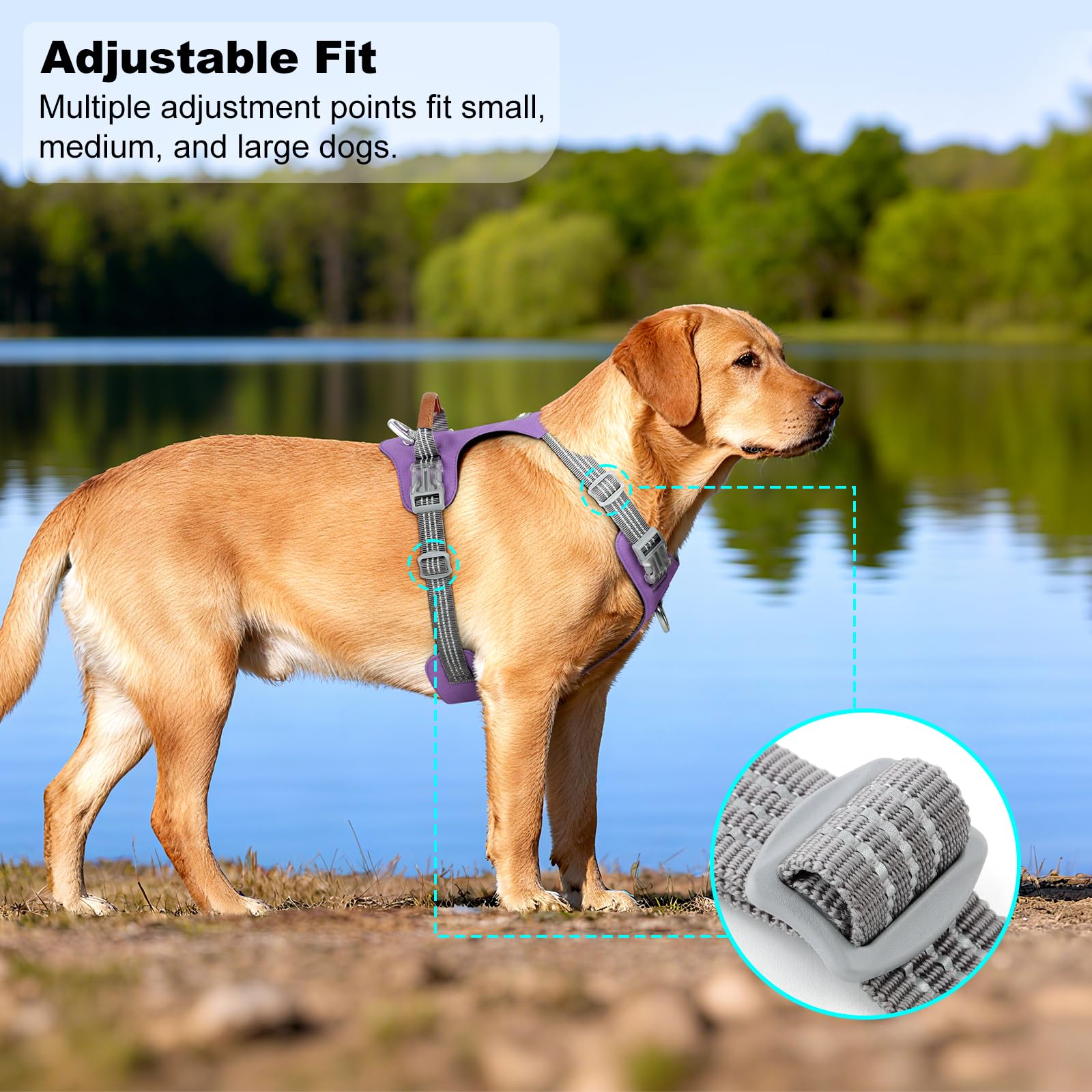 No Pull Dog Harness – Adjustable Reflective Nylon Vest for Small Medium Large Dogs, Escape Proof Training Harness with Leather Control Handle, Lightweight Aluminum Hardware (Purple, M) - image 6