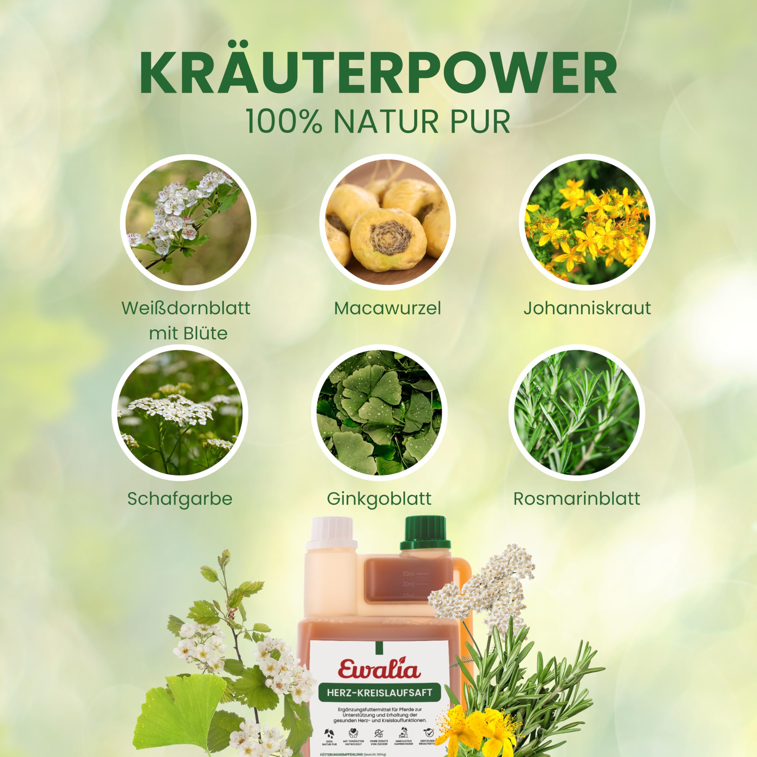 EWALIA Herz-Kreislaufsaft | 1 l | Ergänzungsfuttermittel für Pferde | Mit Weißdorn
