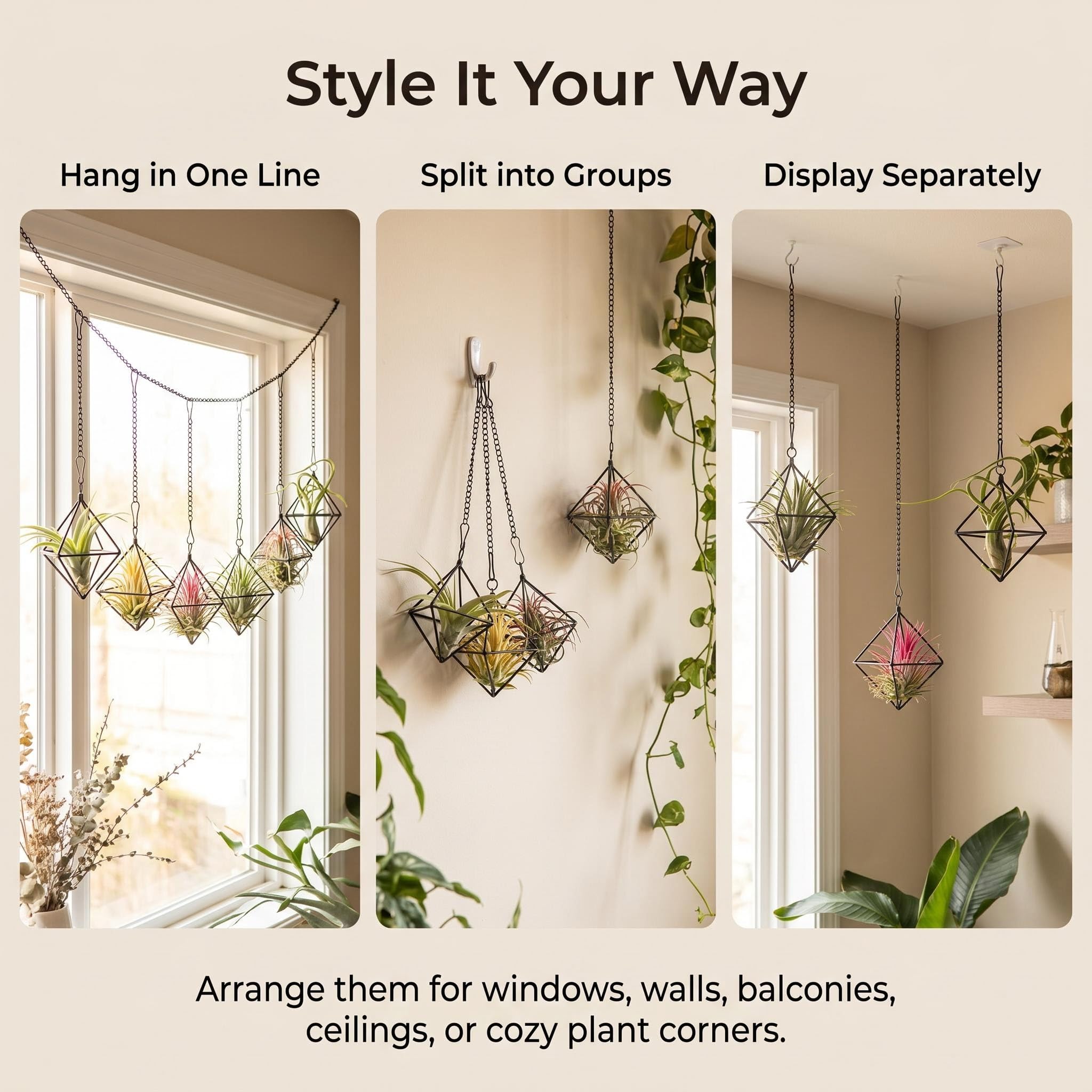 Lot de 6 supports à suspendre pour plantes aériennes noires - Petits aérofères en métal - Cadre géométrique Tillandsia avec chaînes pour fixation murale - Décoration Himmeli (sans plante)