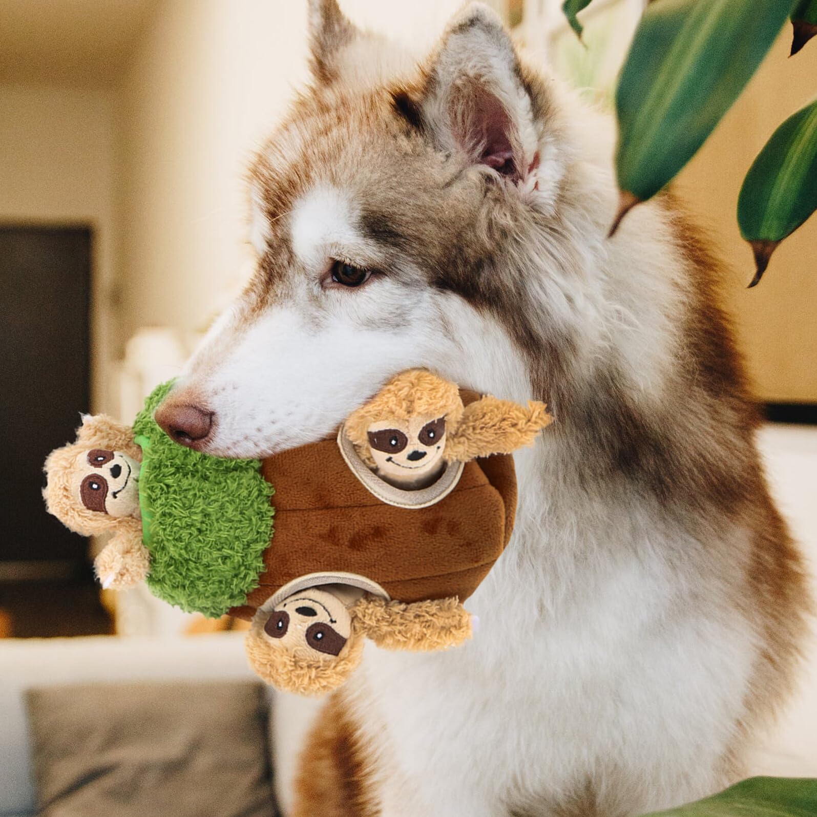 Toyvian Quietschendes Hundeplüschtier aus Plüsch in Tierform