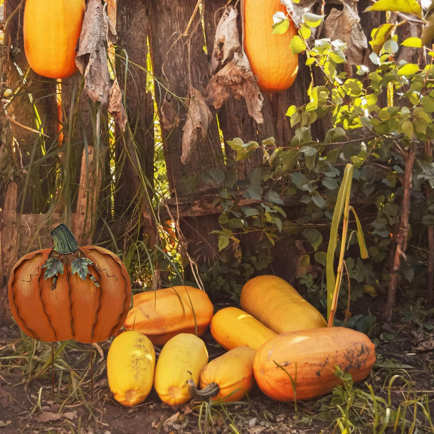 Rustic Metal Pumpkin Garden Stakes Outdoor Decorations for Home Standing Metal Pumpkins Yard Stake for Fall Harvest Decor Thanksgiving Halloween Lawn Decoration-Set of 2