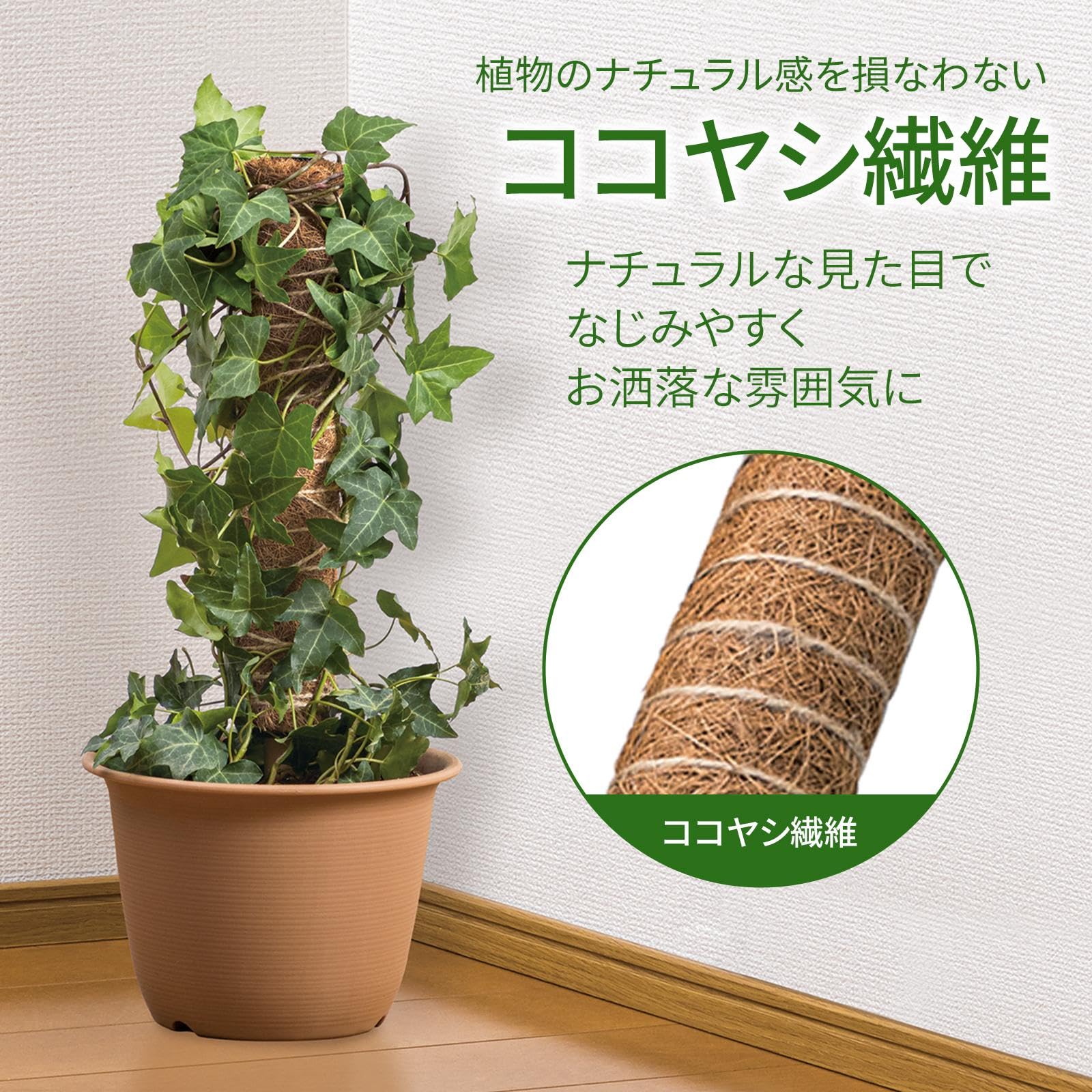 Amazon | コモライフ 観葉植物の支柱 2本組 (1本約4.5×40cm) 観葉植物