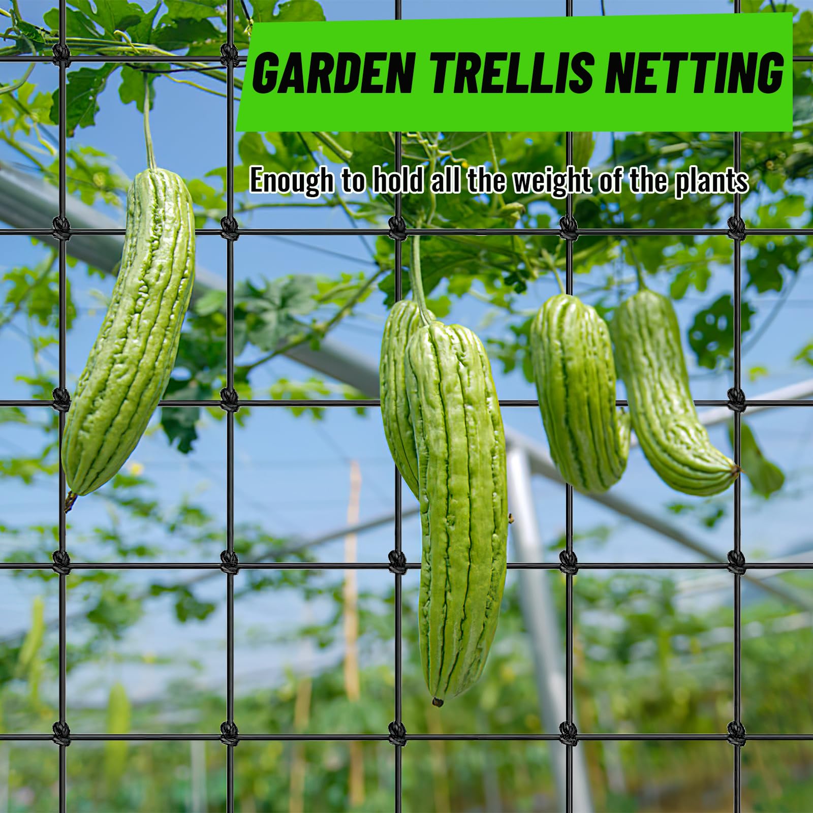 Jardinera Con Celosia Red Para Plantas Trepadoras - Malla Elástica 120x120  Cm Con Ganchos, Ideal Para Huerto Malla Elástica 120x120 Cm Con Ganchos Para  Huerto Jardín, image size:1600x1600