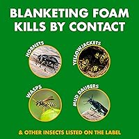 Vista 2 de Spectracide Asesino Espumoso de Avispas y Avispones, Espuma Envolvente Mata al Contacto, 14 Onzas