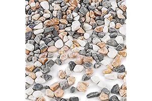 DomeStar Natural Plants Pebbles: Vibrant Rocks for Succulents, Aquariums, and More