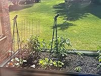 Review Image by Carlos A. Carlos A.