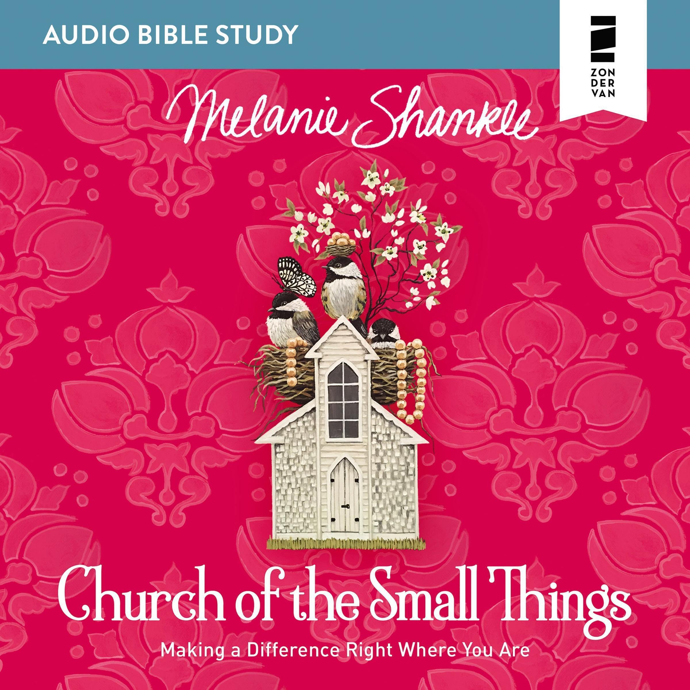 Church of the Small Things: Audio Bible Studies
