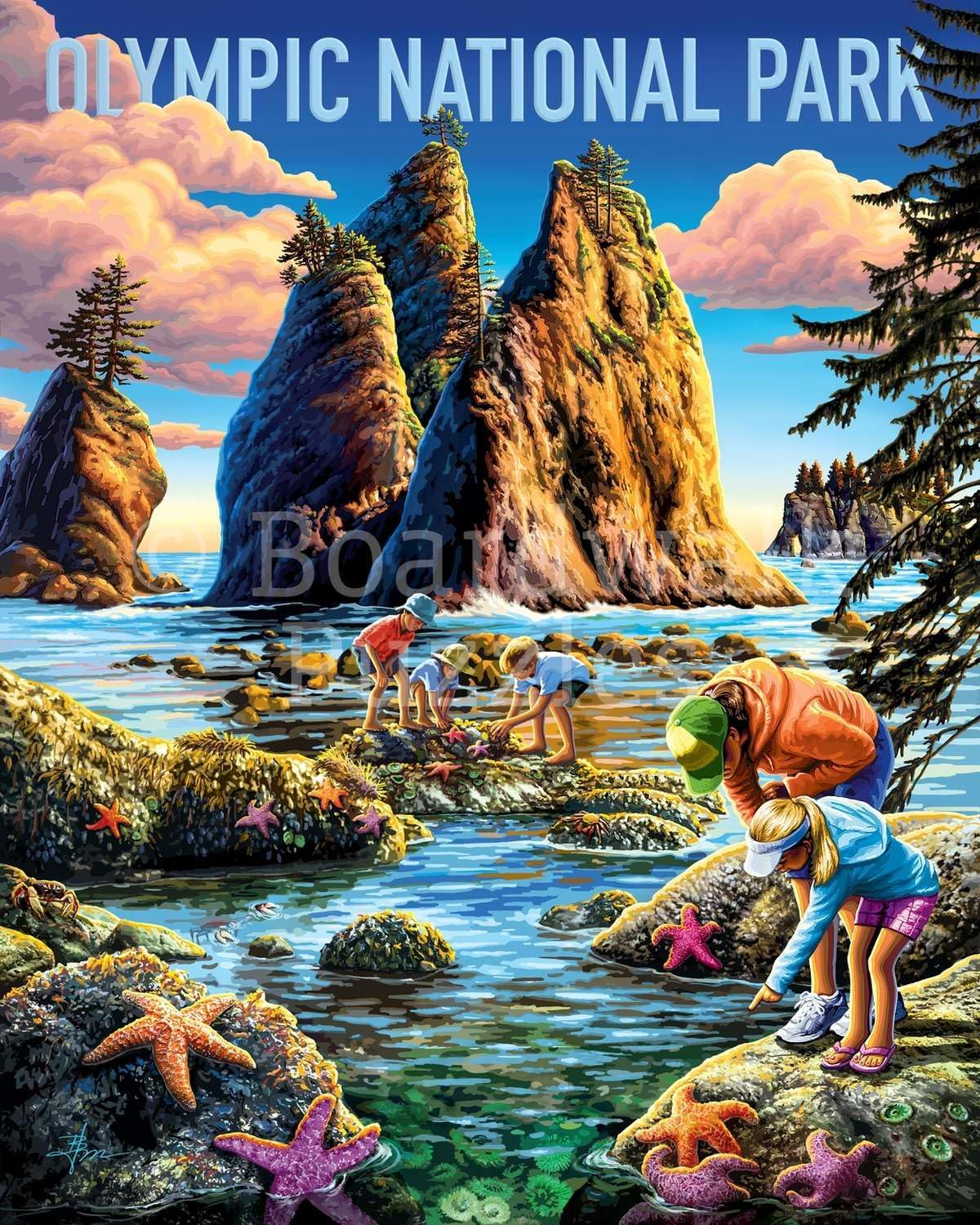 Boardwalk Puzzles Olympic National Park, 500 Piece Jigsaw Puzzle for Adults, Made in USA