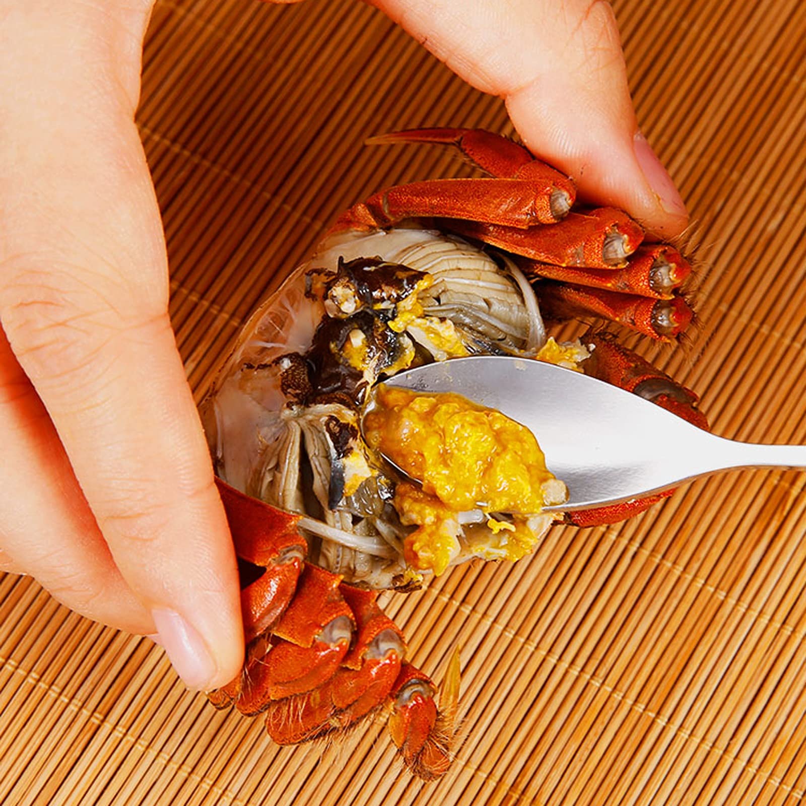 QINGGANGLING999 Utensili per Frutti di Mare Set di Utensili per la casa Set di Utensili da Frutti di Mare 8 Pezzi Strumento di Pesce Amanti dei Frutti di Mare per l'aragosta, Granchio,