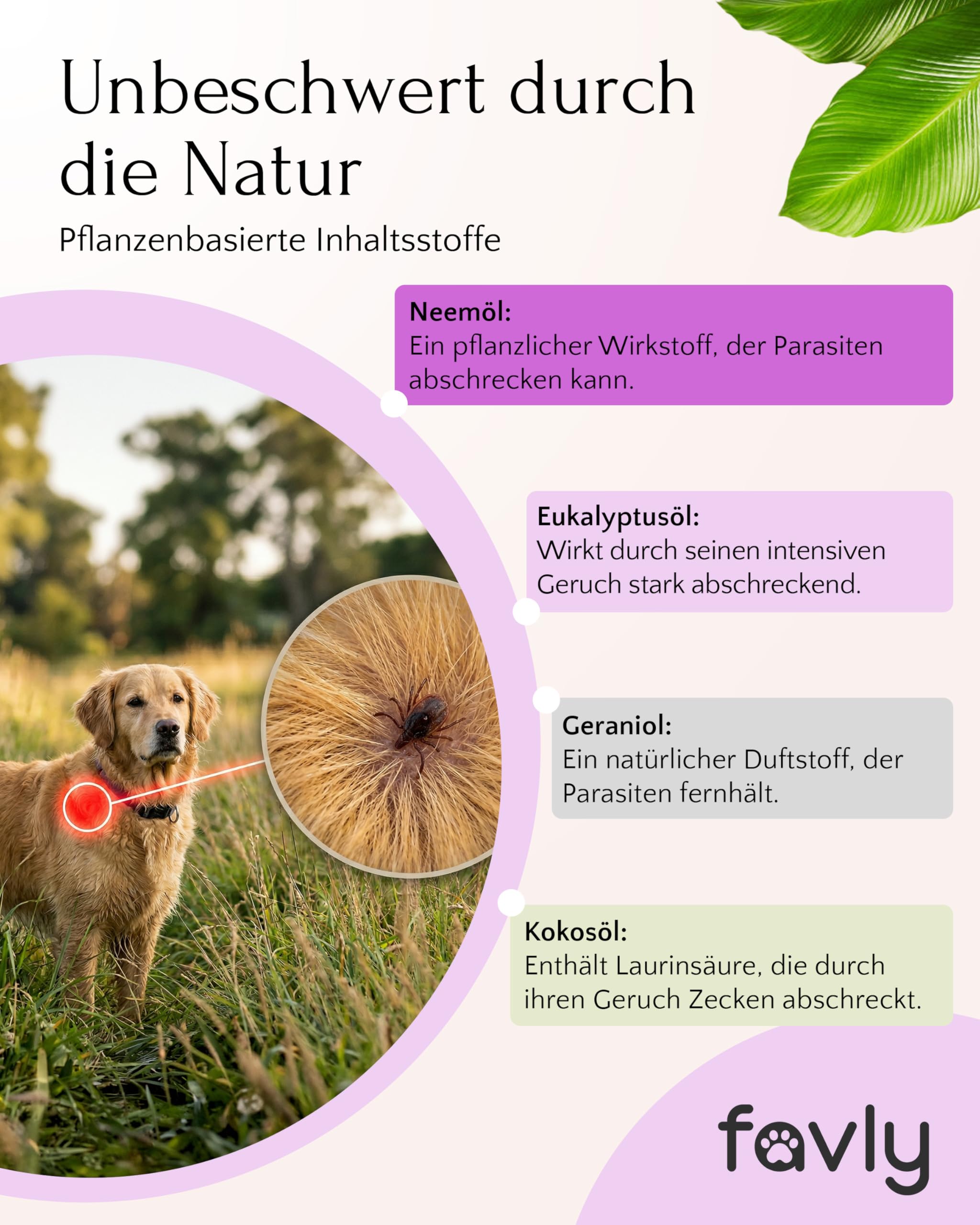 FAVLY – ZecOFF Zeckenschutz 50ml für Hunde ab 2kg – Spot-On gegen Zecken, Flöhe & Mücken – pflanzlich basiertes Zeckenmittel mit Saltidin, Neemöl, Eukalyptus, Geraniol – Zeckenabwehr ohne Nervengift