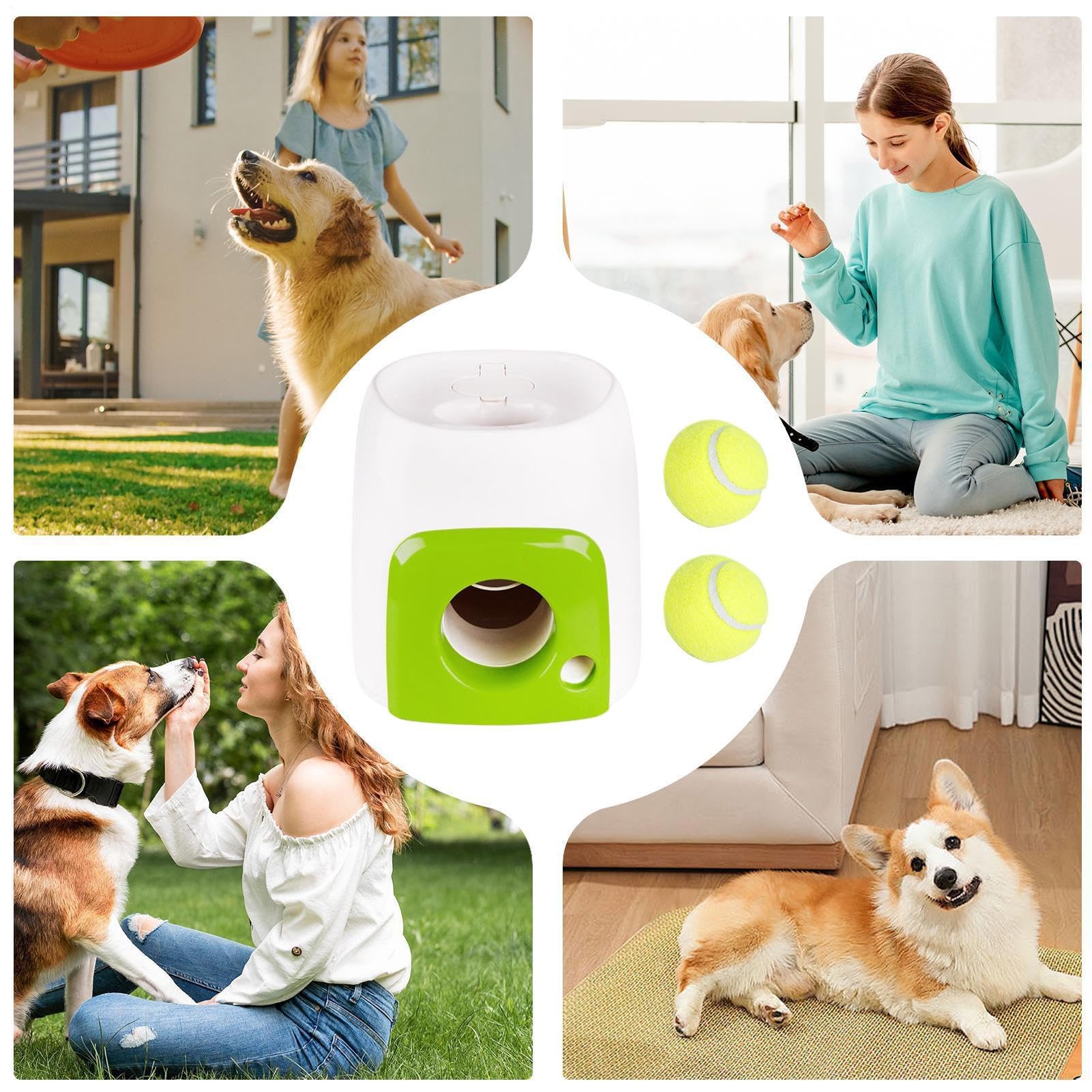 Lancement Automatique de Balle pour Chiens | Lanceur de balles pour Petits Chiens, interactifs récompense pour rapporter Le Rouleau d'activités Amusantes