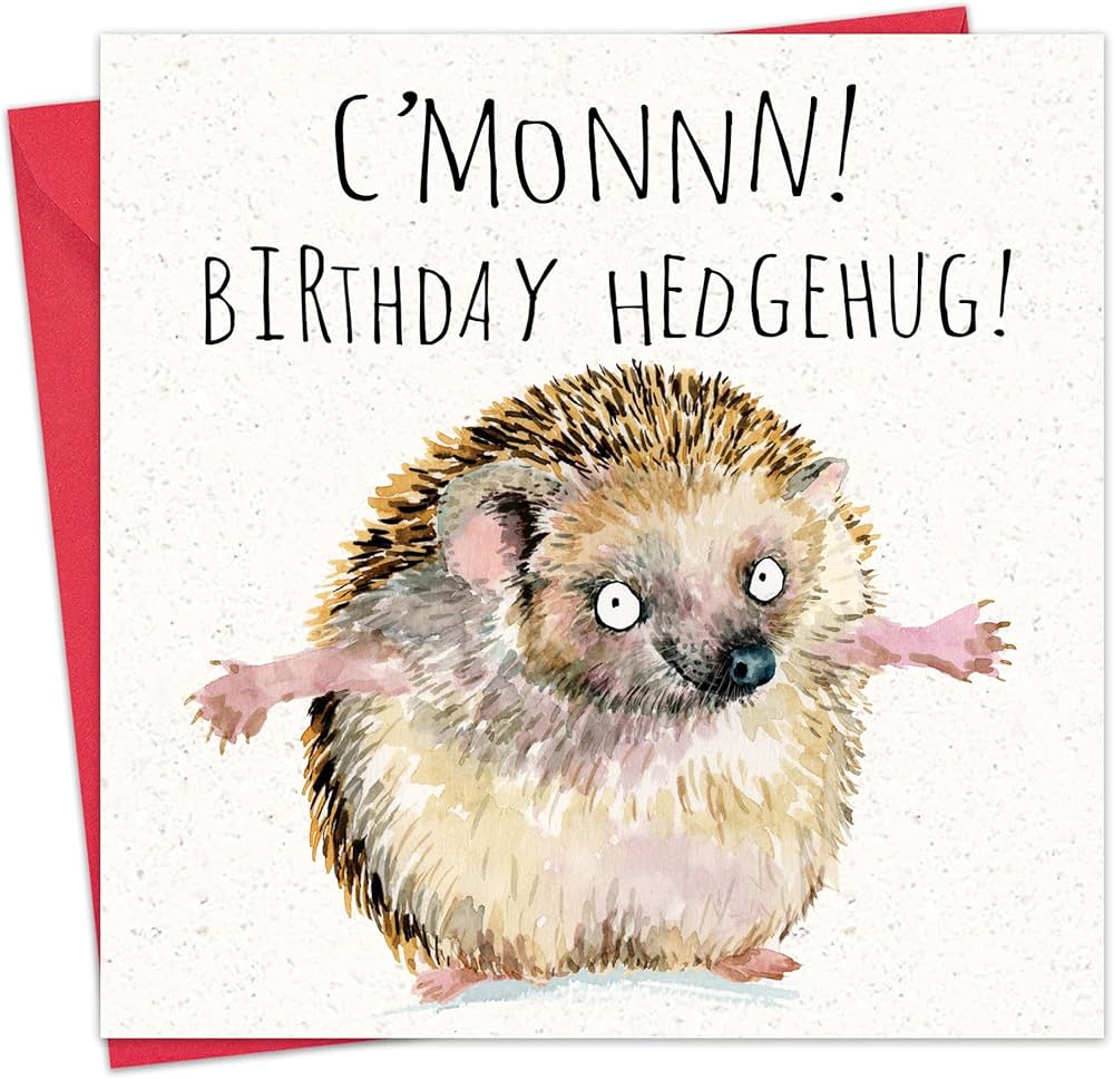Amazon | Twizler 面白いバースデーカード ハリネズミ – 面白いカード