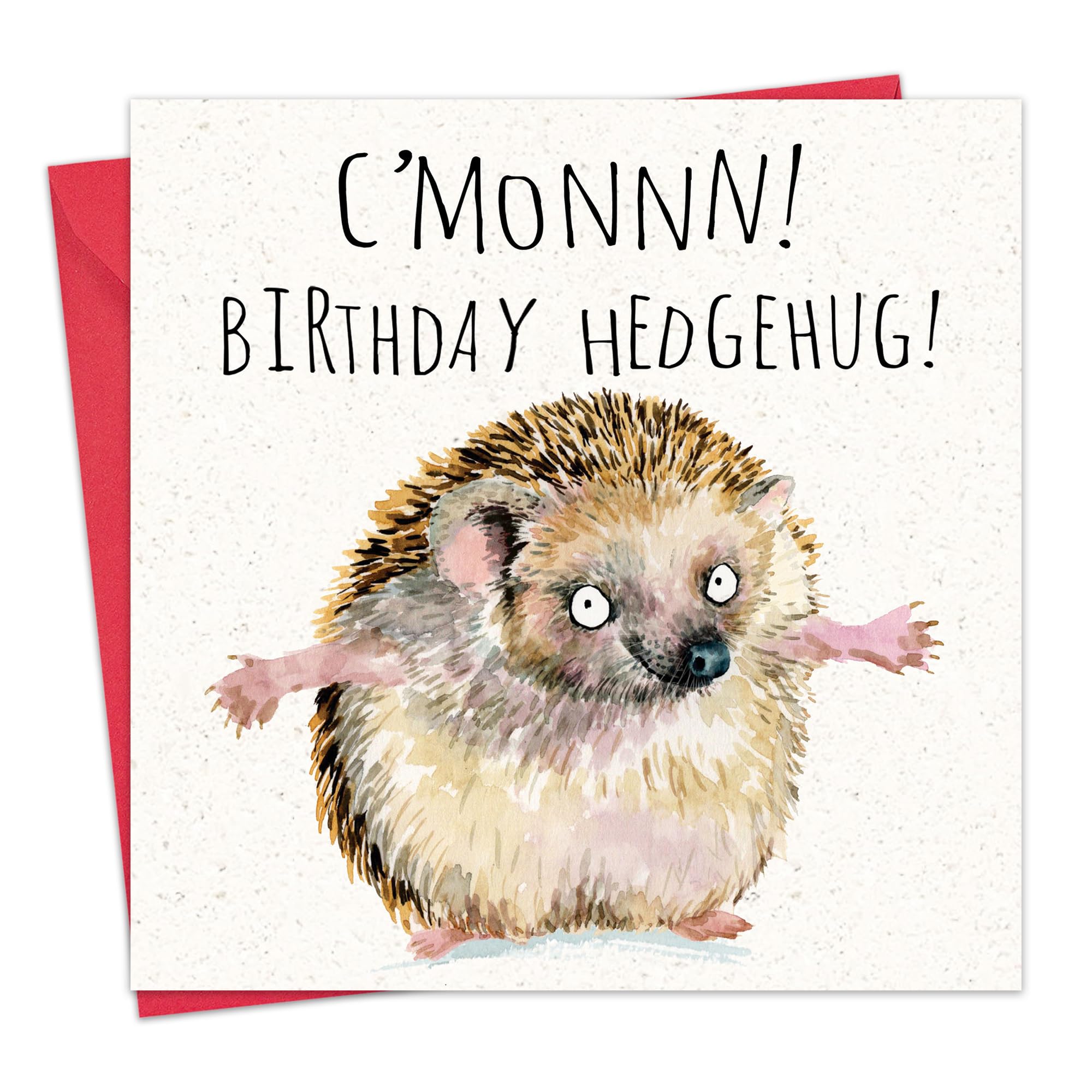 Amazon | Twizler 面白いバースデーカード ハリネズミ – 面白いカード