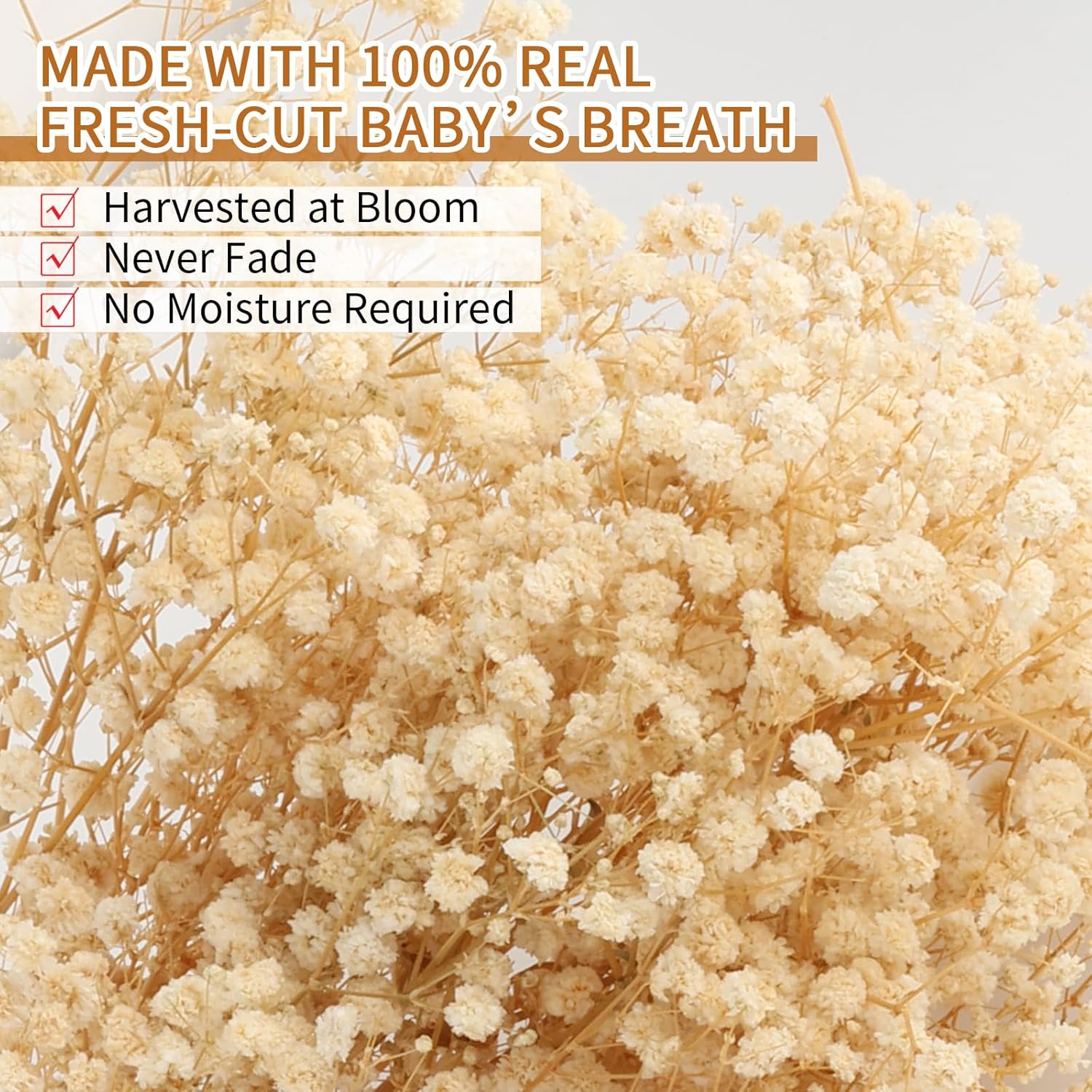 6500+ White Dried Baby's Breath Flowers Bouquet, 100Pcs Mini Real Natural Gypsophila Branches for Christmas Tree Decorations, DIY Crafts, DIY Wreath Home Party Wedding. (whir te)