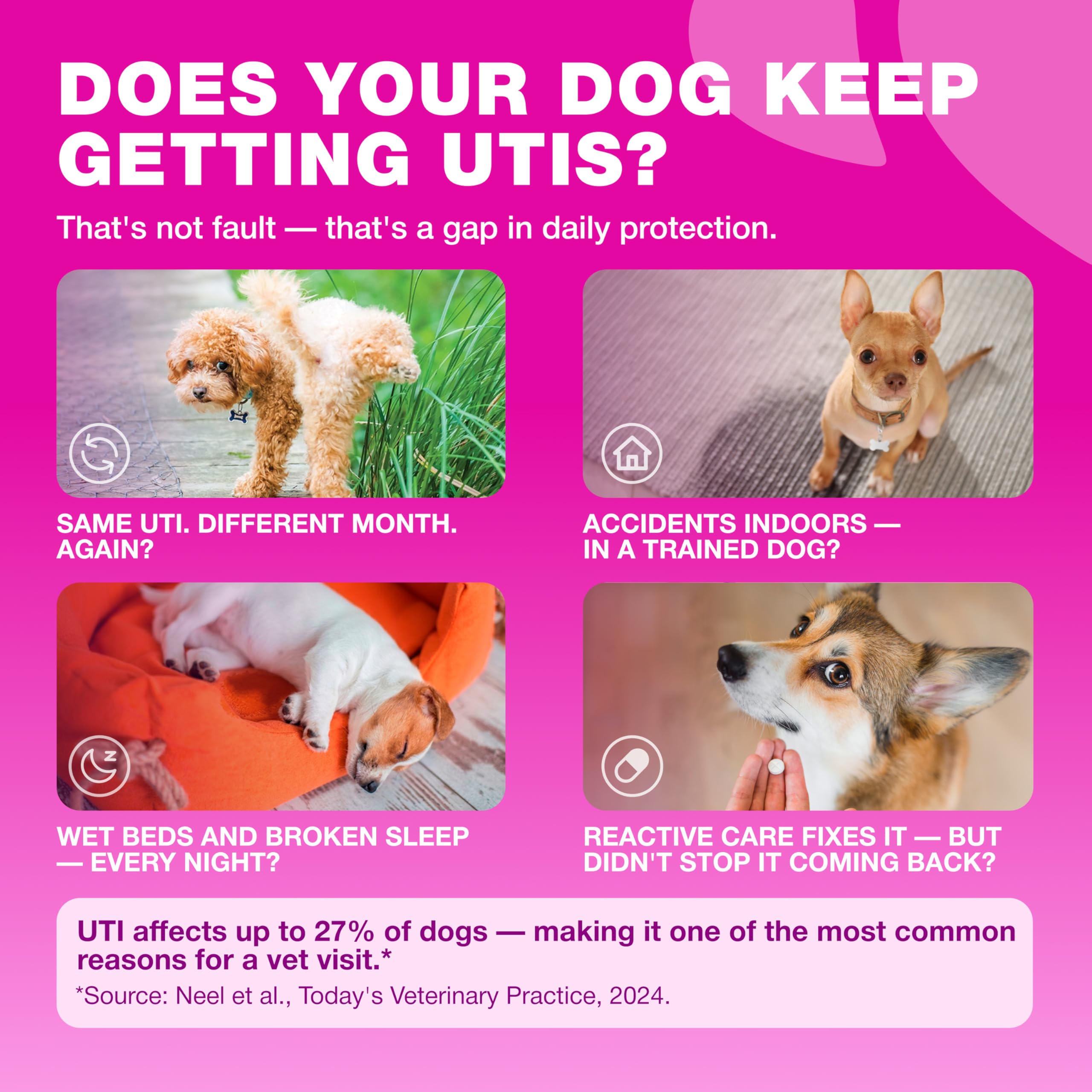 Dog UTI Treatment Cranberry Chews – Bladder Control & Urinary Tract Support — Amazon image 3