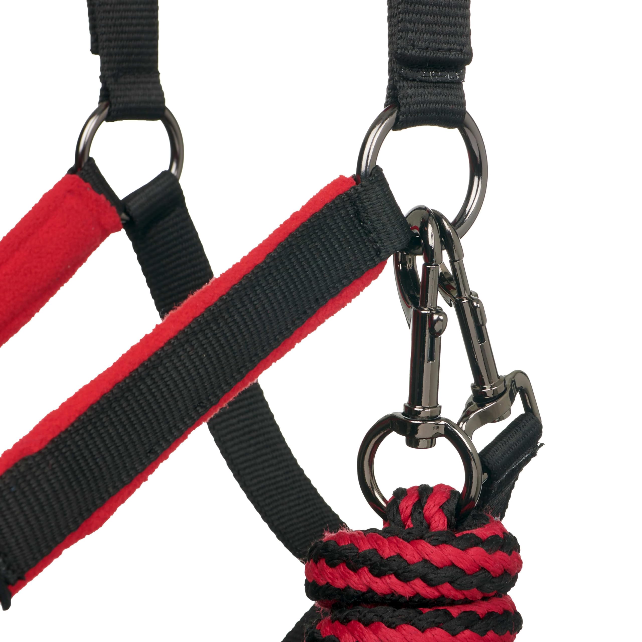 LeMieux Vogue Fleece Headcollar with Lead Rope - Extra Padding, Adjustable at Curb and Poll Strap - 3