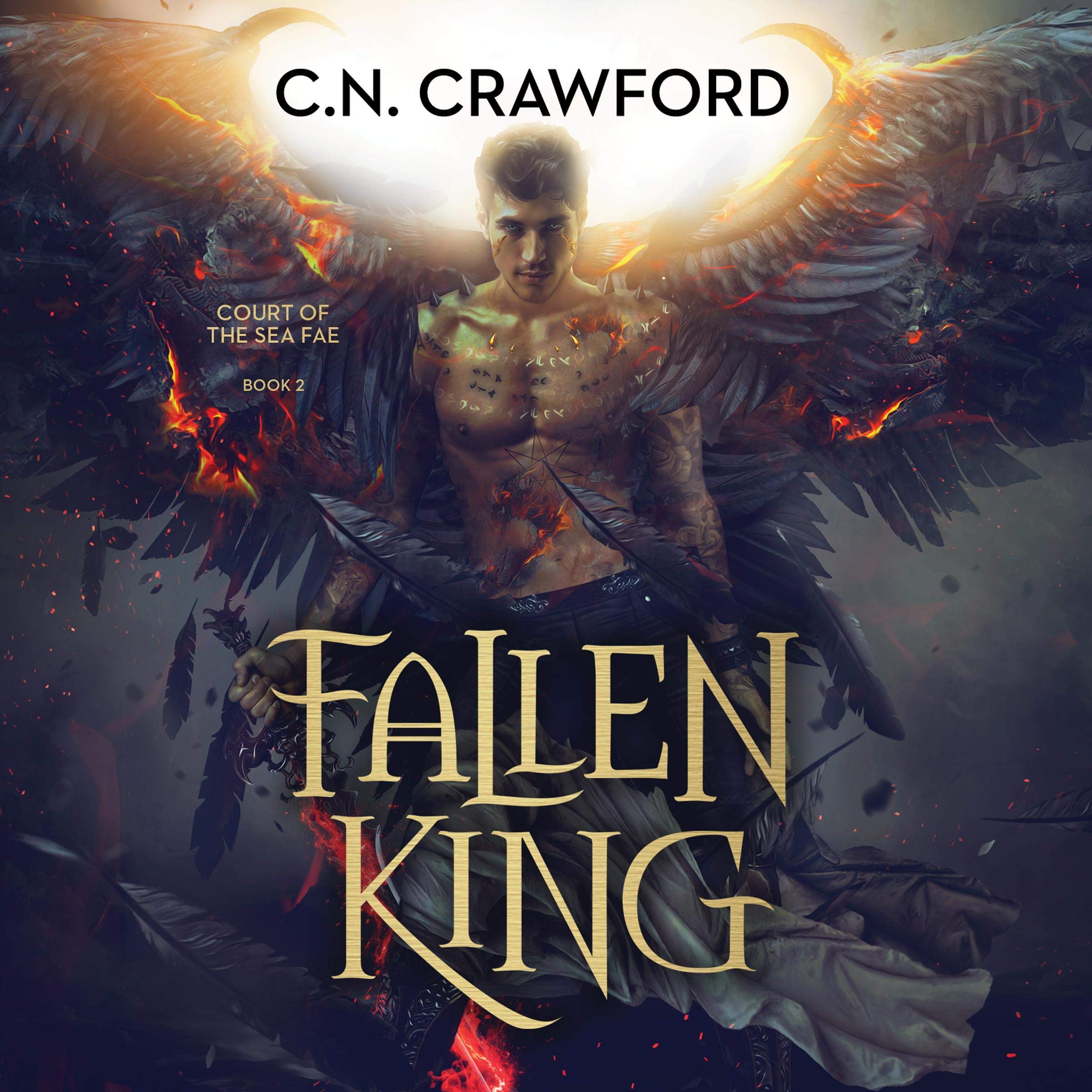 Cover art for Fallen King