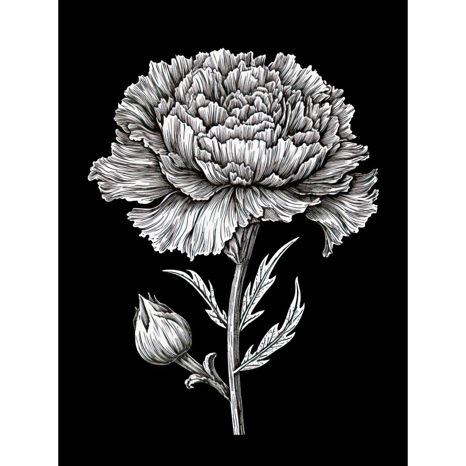 Artery8 Carnation Flower Black and White Linocut Print Large Wall Art Poster Print Thick Paper 18X24 Inch