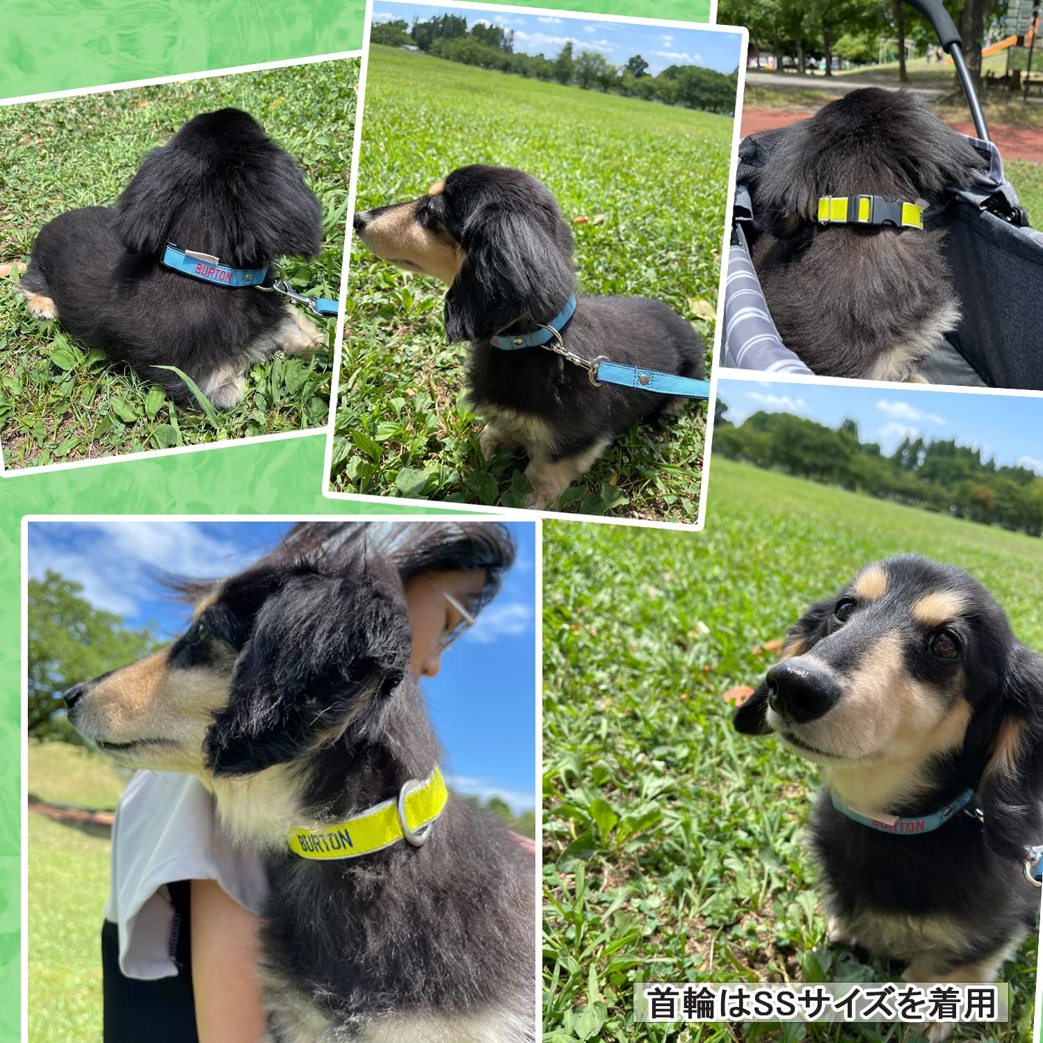 名入れ】首輪 リード セット 刺繍 オーダーページ MY NAME 刺繍首輪