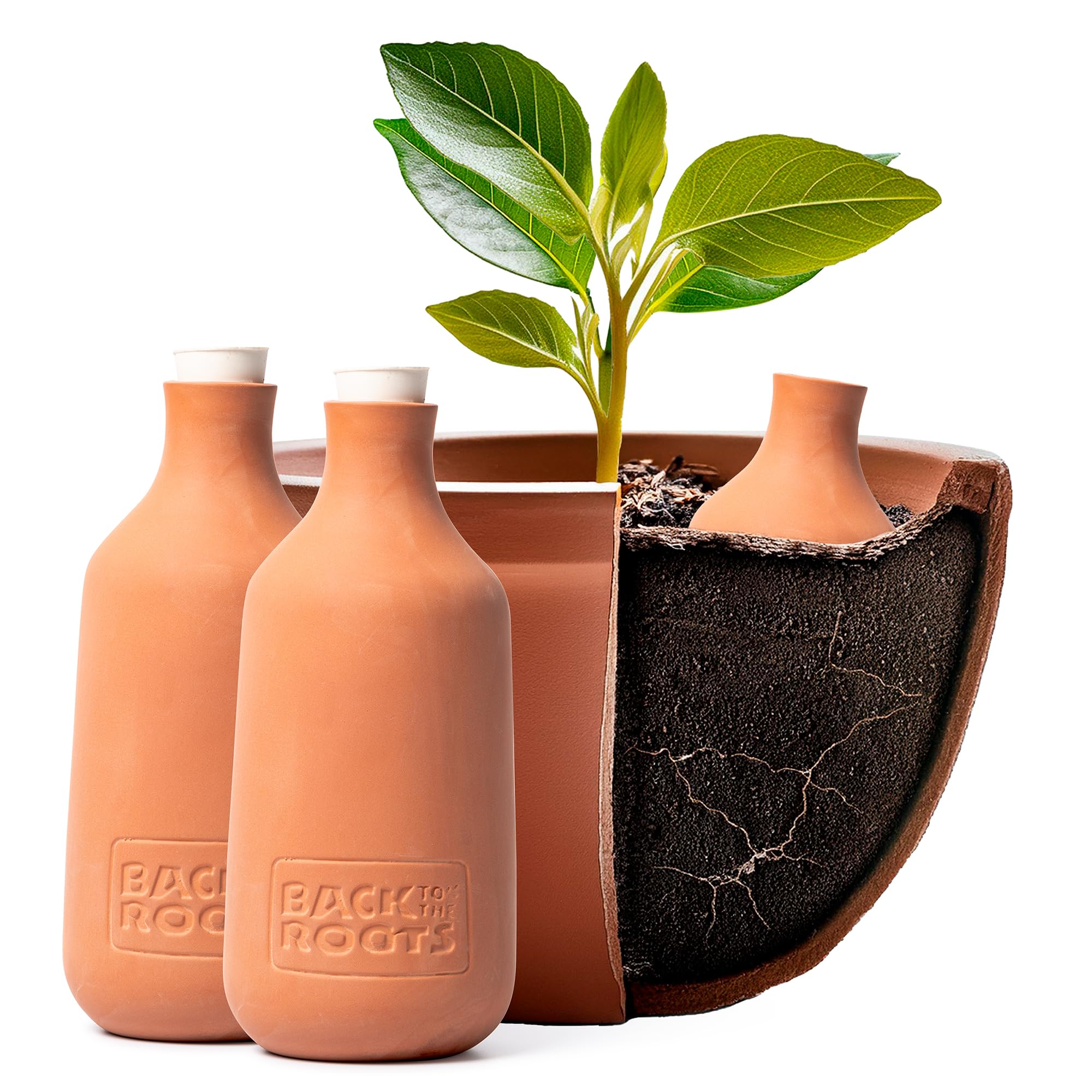 Back to the Roots Olla Pot autoirrigante in terracotta (confezione da 3), 700 ml fornisce 1 settimana di irrigazione di precisione