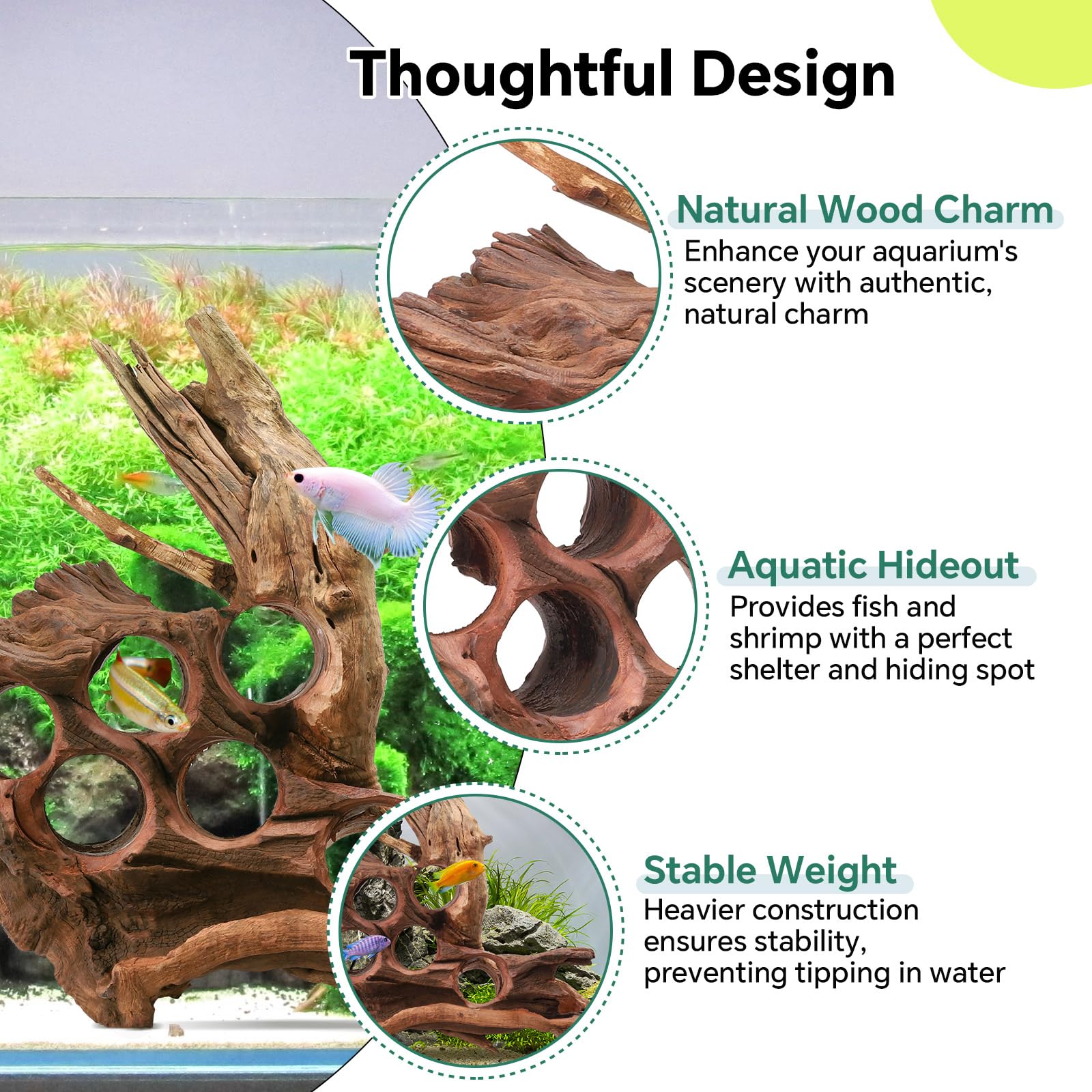 Madera flotante grande para acuario, decoración de reptiles de madera natural de 10 a 16 pulgadas, diseño único