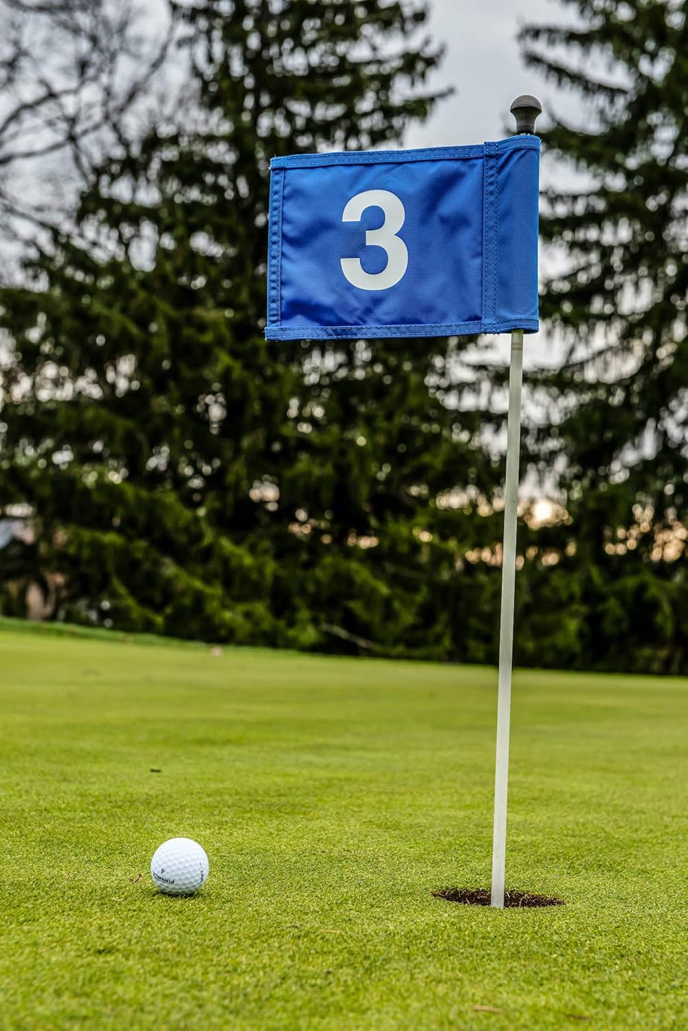 Pinseekergolf Blue Putting Green Flags - Numbered Flags, Three Golf Flags for Yard, Golf Pin Flags, 420D Nylon Mini Golf Flags, Course Flags : Sports & Outdoors