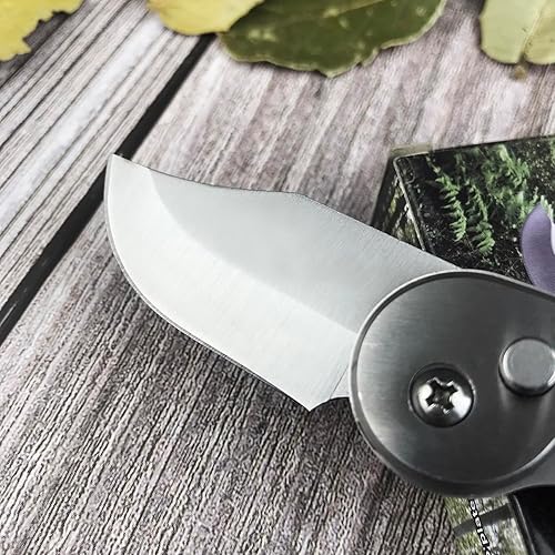 Miniatura 3 de Mini Folding Pocket Knife & EDC Small Knife,2" 5CR13MOV Blade, Wooden Handle with Pocket Clip,Assisted Opening Pocket Knives for Camping