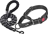 haapaw Coleira para cães Martingale com fivela de liberação rápida, coleiras refletivas de treinamento para cães pequenos, médios e grandes