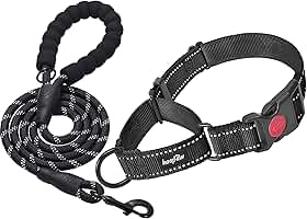 haapaw Coleira para cães Martingale com fivela de liberação rápida, coleiras refletivas de treinamento para cães pequenos, médios e grandes