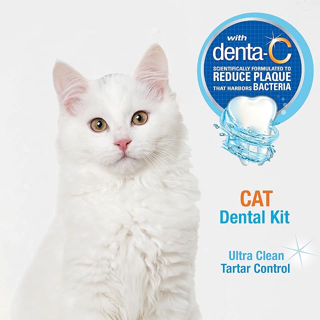 Foto 4 de 8 de Nylabone Advanced Oral Care Kit dental para gatos original (3 unidades)