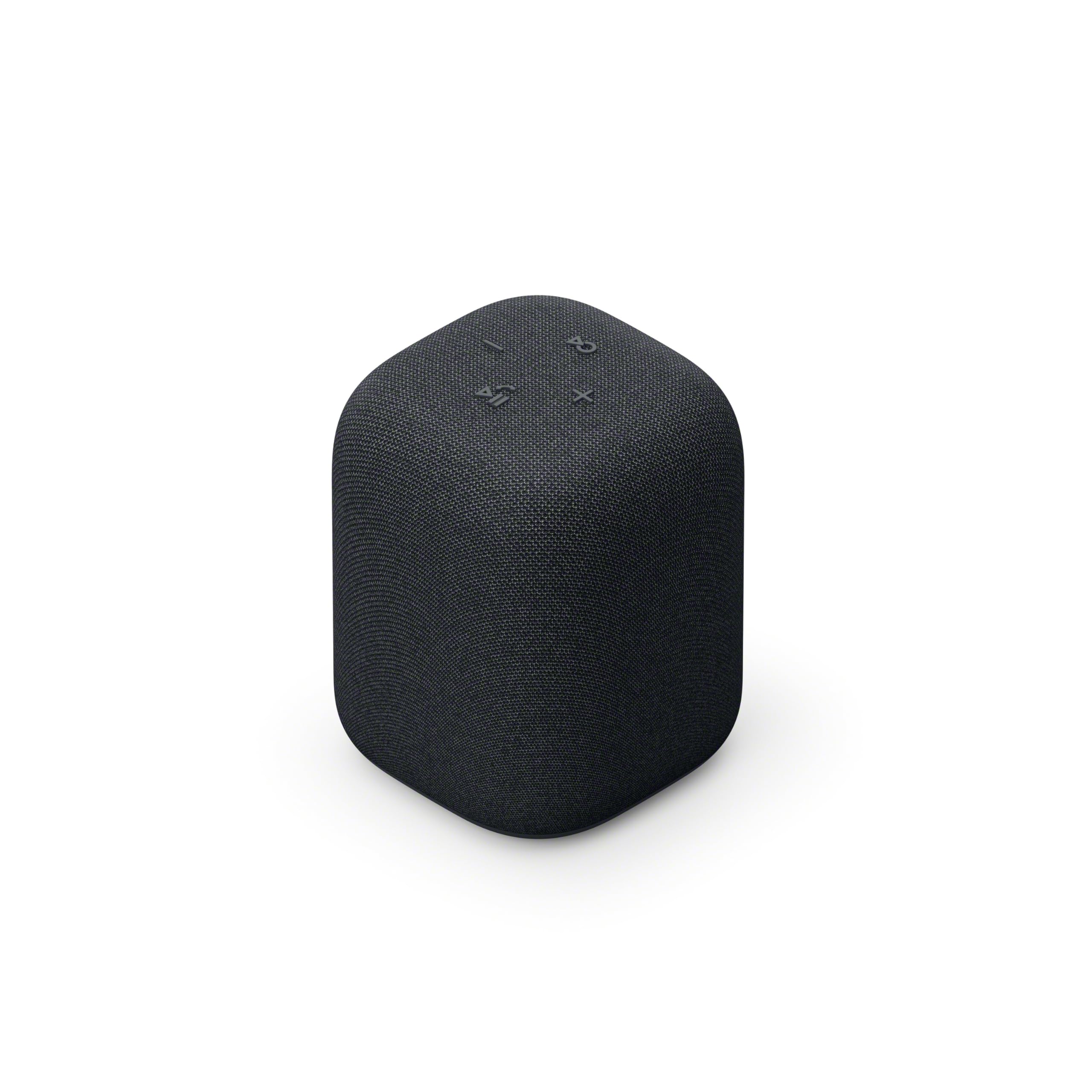 Sony Enceinte LinkBuds - Enceinte Portable sans Fil Bluetooth, IPX4, Résistante à l'eau, Batterie de 25 Heures, Qualité d'Appel Clair, Outdoor, Voyage - Noir