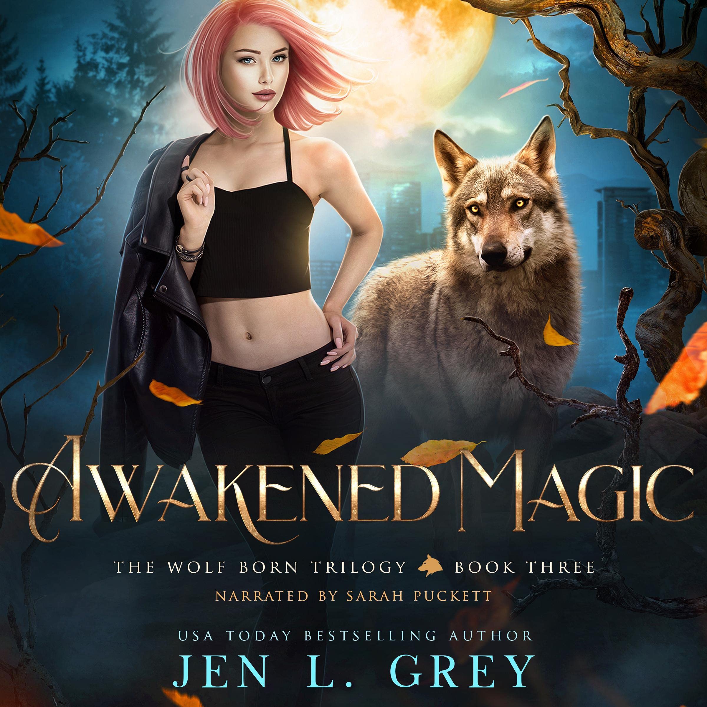 Cover art for Awakened Magic