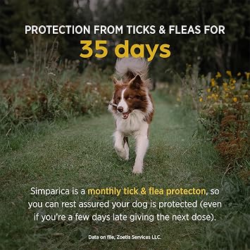 Simparica Chewable for Dogs, Liver Flavor, 2.8-5.5 lbs, 1-Month Supply | 35-Day Protection: Kills Fleas in 3 Hours; 6 Types of Ticks in 8 Hours, FDA-Approved to Prevent Lyme Disease, Puppies 6+ Mo.