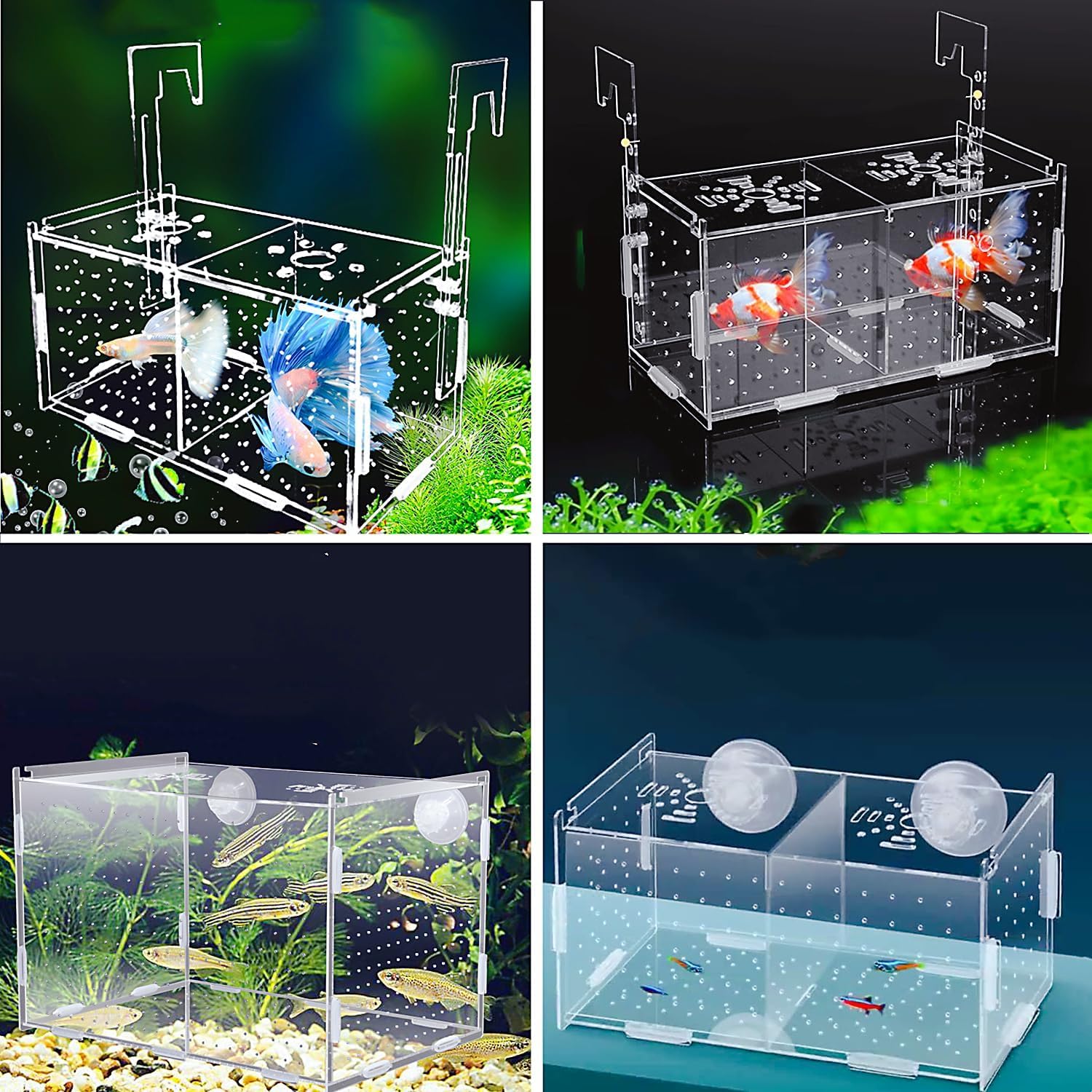Fischzucht Kasten Acryl Fischzuchtbox Laichkasten für Aquarium Isolationsbox Aufzuchtbecken Aquarium Fischabscheider für Fish Tank Aquarienfisch Zuchtbox für Babyfische