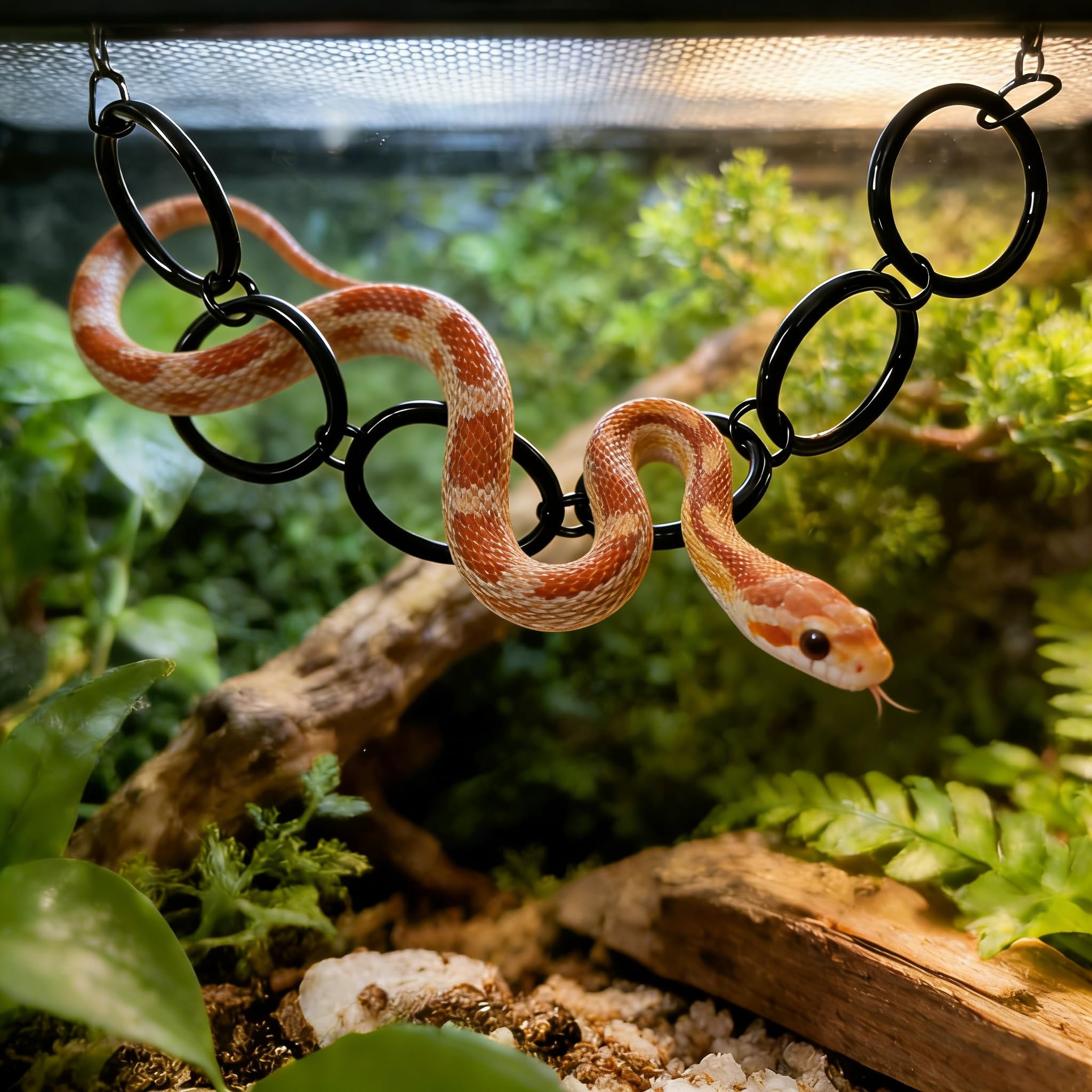 Schlangen Kletter Ringe für Ball Python und Corn Snake Reptilien Beschäftigungs Spielzeug für Schlangen Ball Python Terrarium Dekoration Reptilien Terrarium Zubehör Bearded