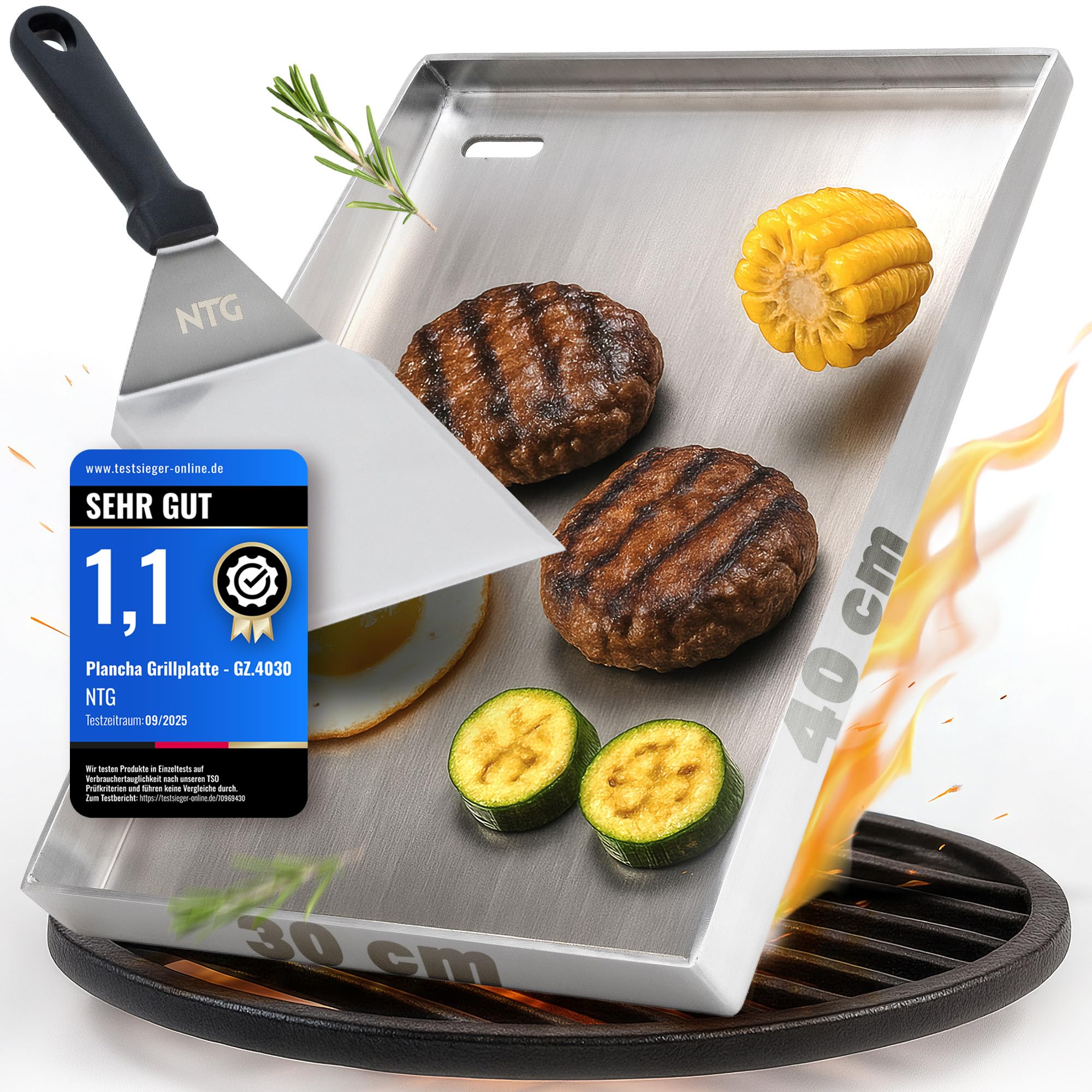 NTG - Płyta grillowa ze stali nierdzewnej 4 mm [40 x 30 cm] – Plancha z odpływem tłuszczu i szpachelką do grilla – do grilla gazowego i węglowego – odporne na odkształcenia akcesoria do grilla