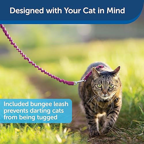 Miniatura 4 de Arnés y correa para gatos de Come With Me Kitty.