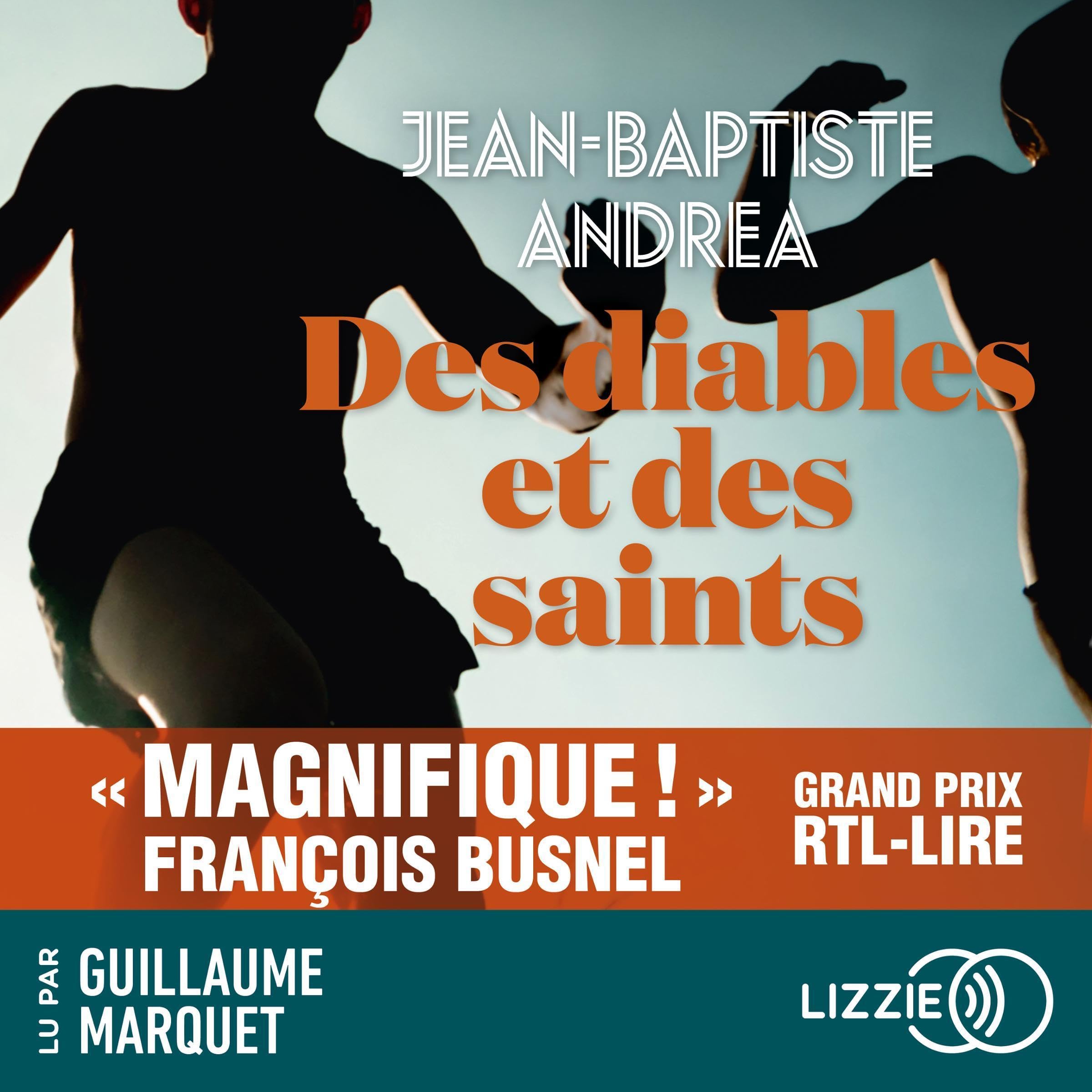 Cover art for Des diables et des saints