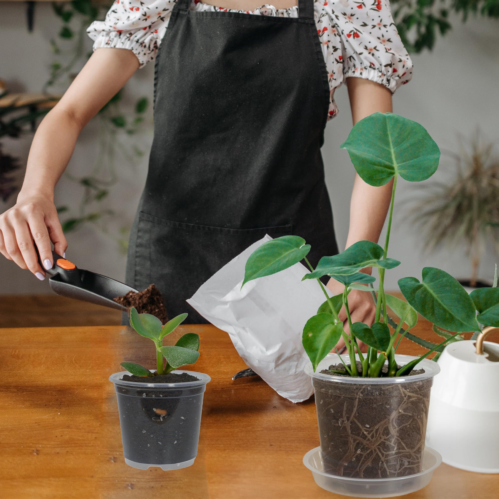 Lot de 20 pots de fleurs transparents de 10,2 cm avec drainage pour plantes, pots de rempotage transparents pour semis, pot de démarrage (transparent, 10,2 cm, 20 pièces)
