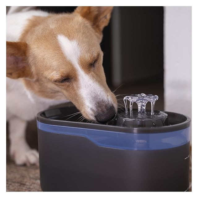 Foto 7 de 8 de EMOS - Fuente para Gatos de 2,6 l con Sistema de filtración - Fuente para Perros y Gatos